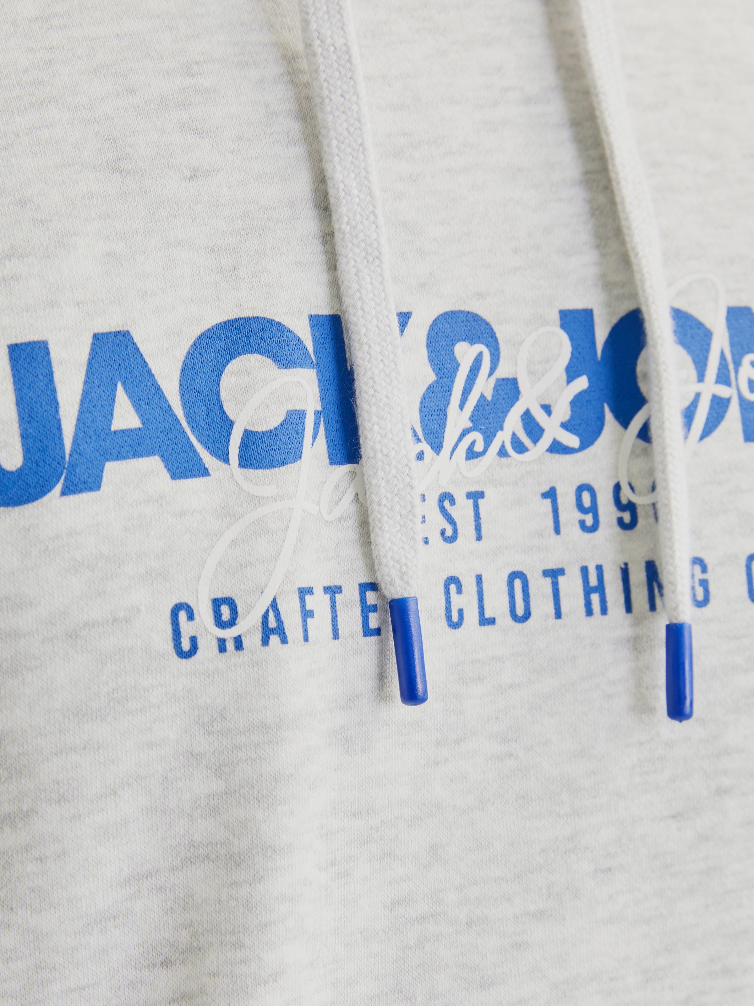 Jack & Jones Kapuzensweatshirt »JJALVIS SWEAT HOOD«
