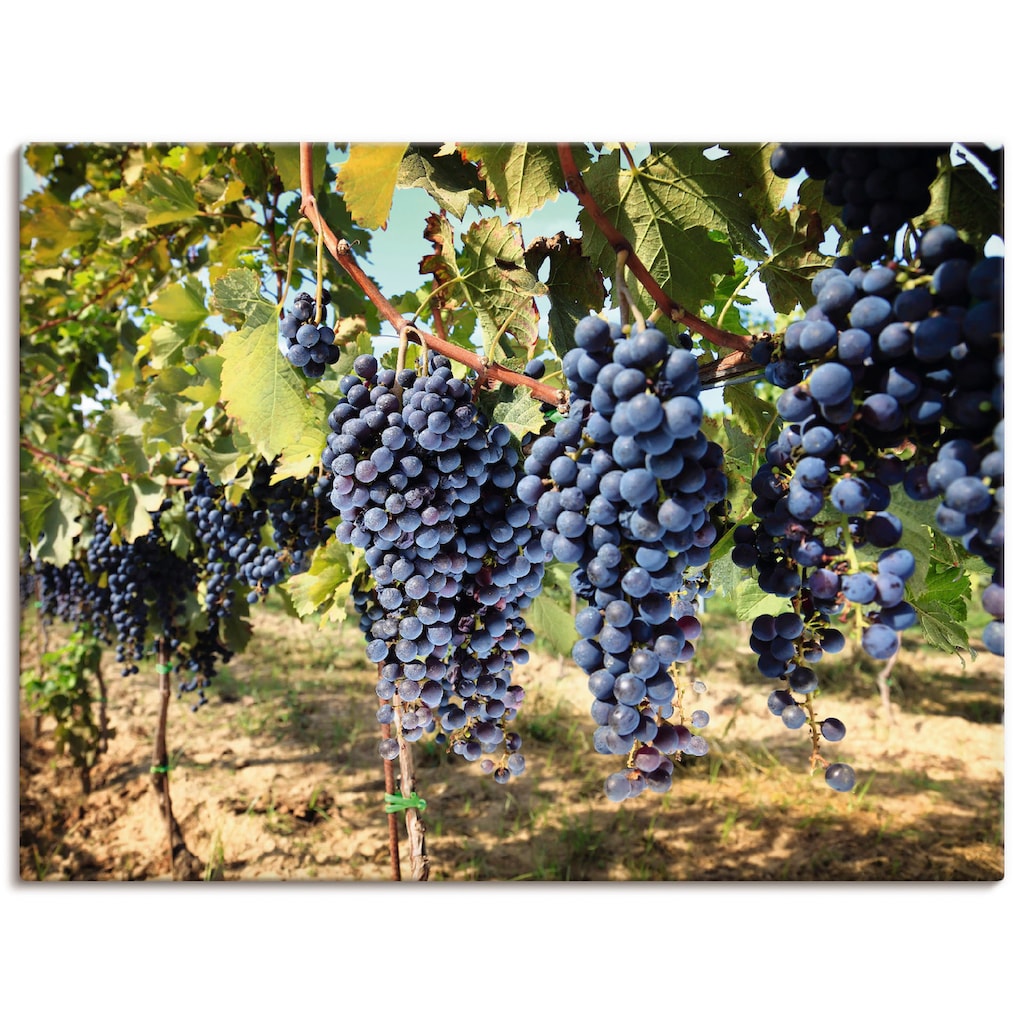 Artland Leinwandbild »Toskanische Weintrauben«, Süßspeisen, (1 St.)