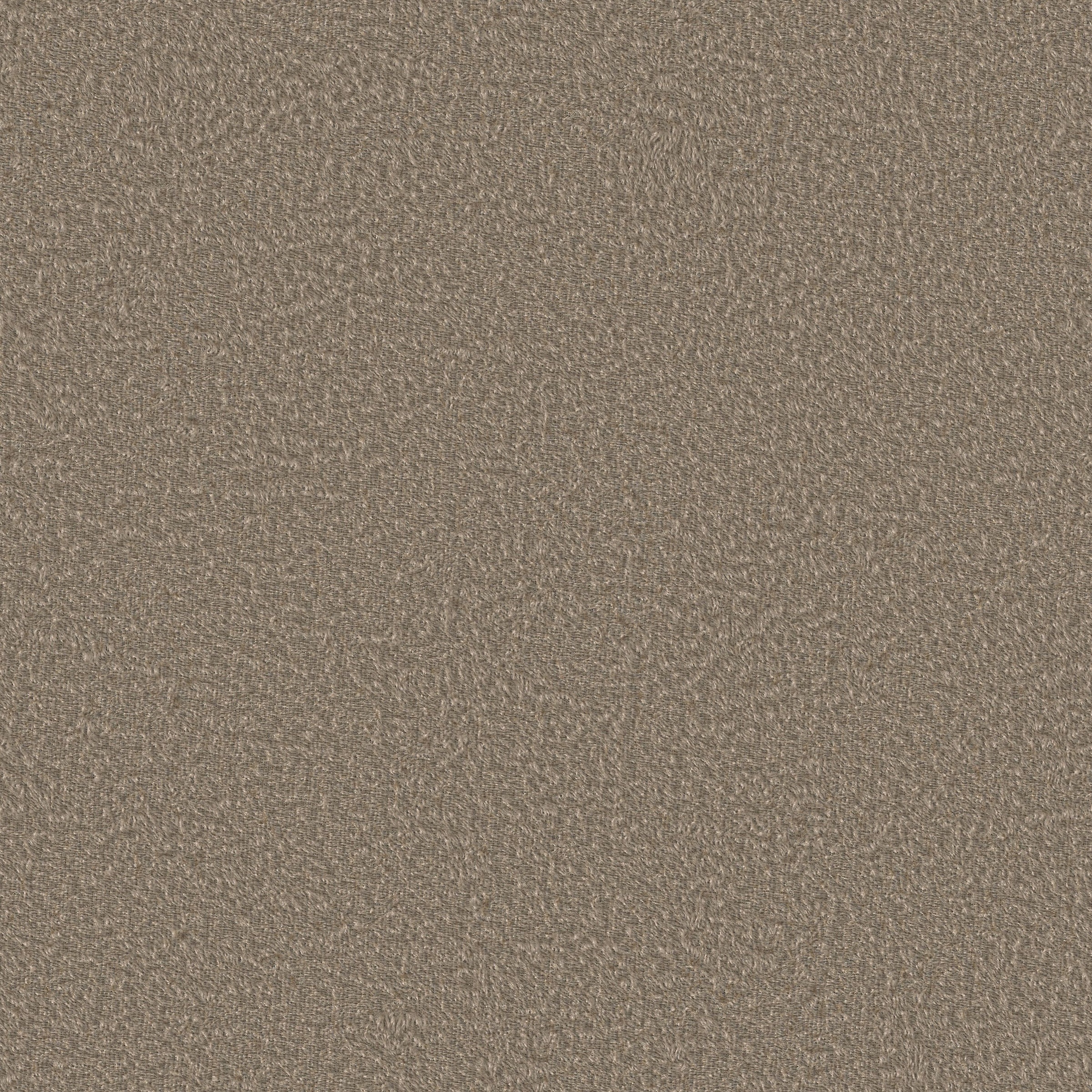 Neutex for you! Vorhang »LUXURY« Multifunktionsband 1 Stk. tlg. Samtoptik mit edlem Glanz