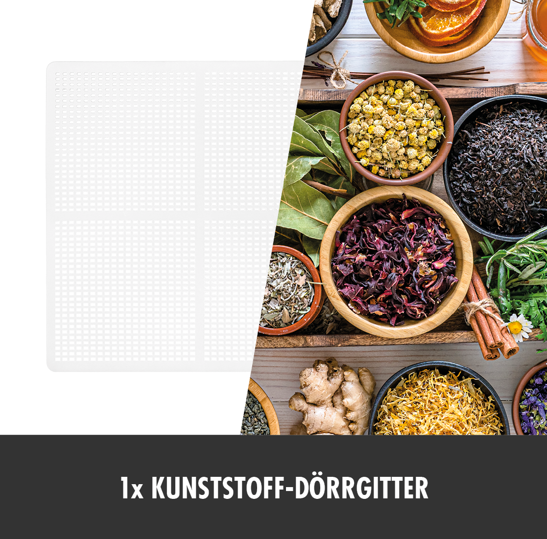 Gastroback Dörrautomat »46605 Design Mini Professional«