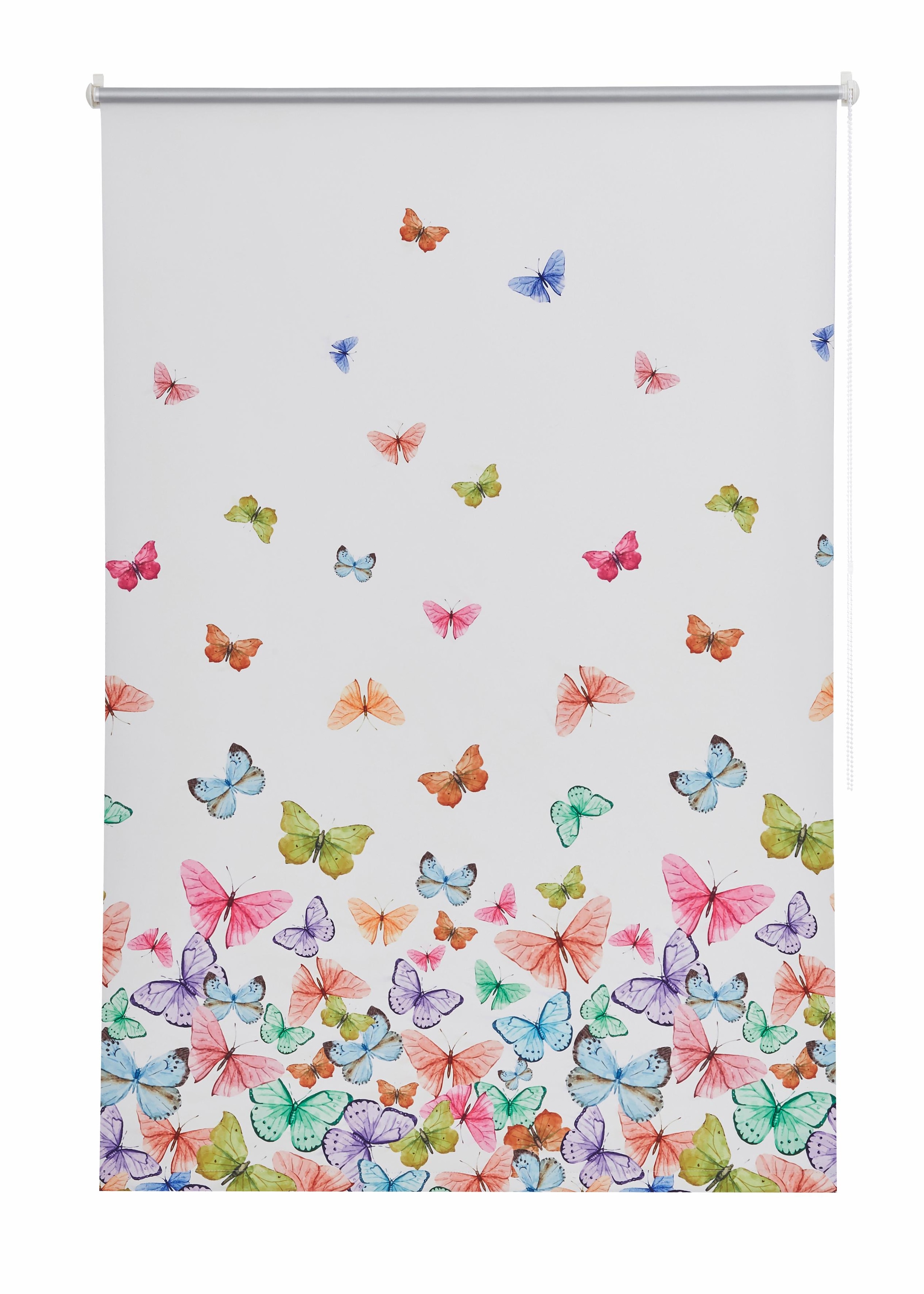 Home affaire Seitenzugrollo »Butterfly«, freihängend, Schmetterlinge, Hitzeschutz, schnell bedruckt, Bohren, verdunkelnd, bestellen und energiesparend, Klemmträger ohne bequem bunt