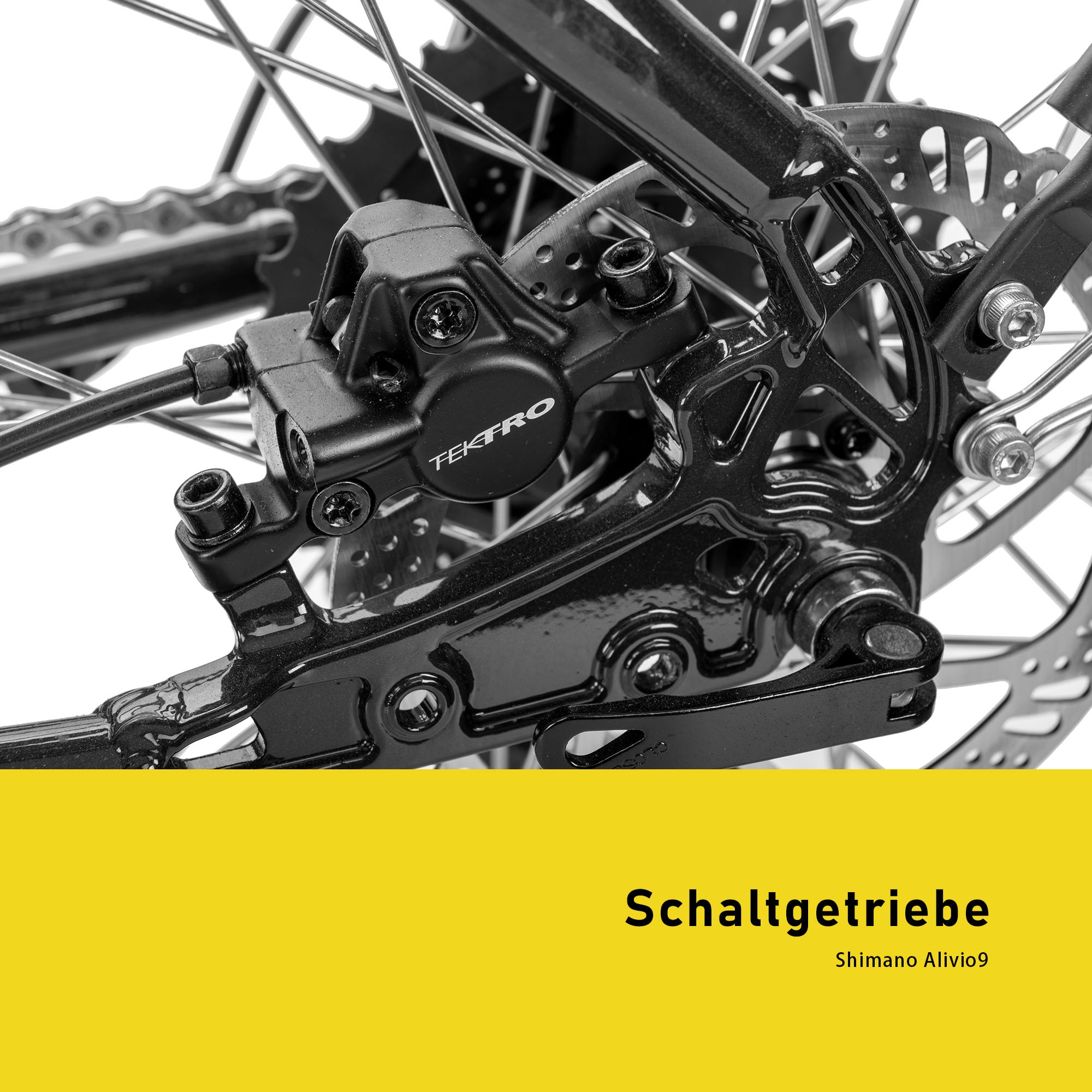 SAXONETTE E-Bike »Deluxe Sport Lady«, 9 Gang, Shimano, Alivio, Mittelmotor 250 W, Pedelec, Elektrofahrrad für Damen u. Herren