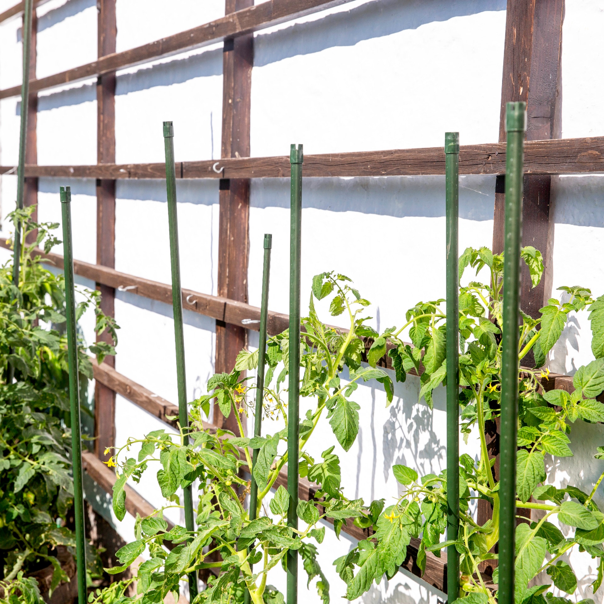 Windhager Rankhilfe »Stahlpflanzstab grün, Pflanzenstütze für hochwachsende Pflanzen« Rankstab wetterfest, erhältlich in unterschiedlichen Größen