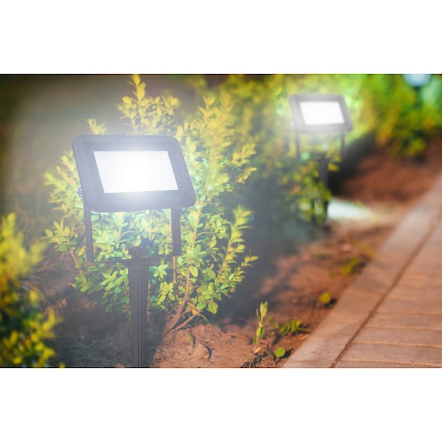 meister LED Gartenstrahler, 20 W, mit Erdspieß online bestellen