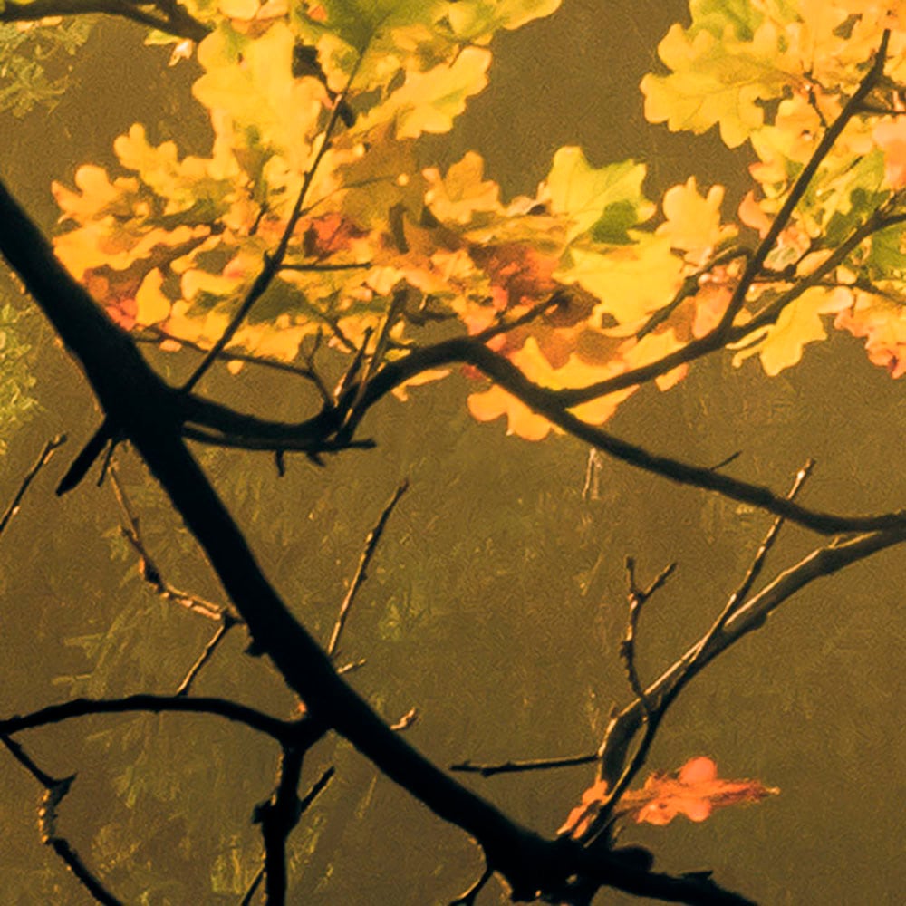 Komar Fototapete »Digitaldruck Vlies - Devil's Bridge - Größe 400 x 250 cm«, bedruckt, Wohnzimmer, Schlafzimmer