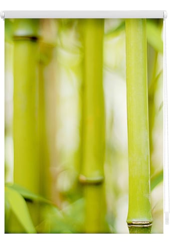 LICHTBLICK ORIGINAL Seitenzugrollo »Klemmfix Motiv Bambus«, Lichtschutz, ohne Bohren,... kaufen