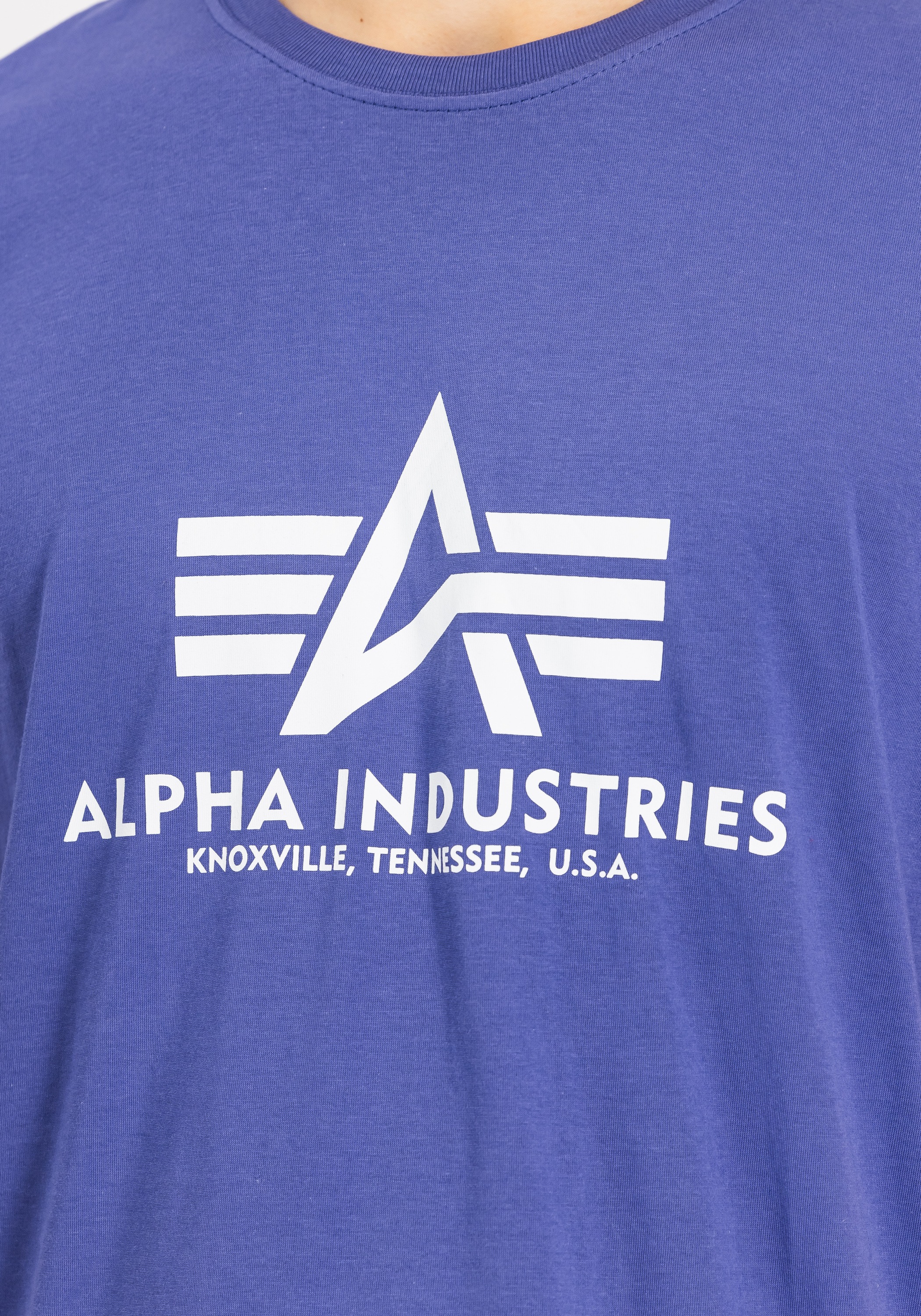 Alpha Industries T-Shirt »Alpha Industries Men - T-Shirts Basic T-Shirt«