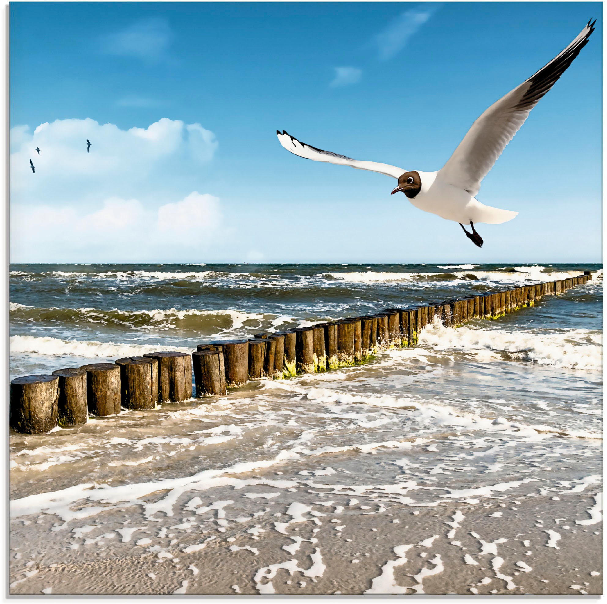 Artland Glasbild »Ostsee«, Gewässer, (1 St.), in verschiedenen Größen