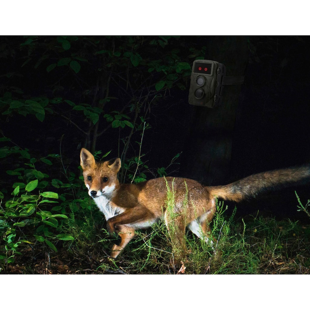 Technaxx Wildkamera »Nature Wild Cam TX-160«, Außenbereich