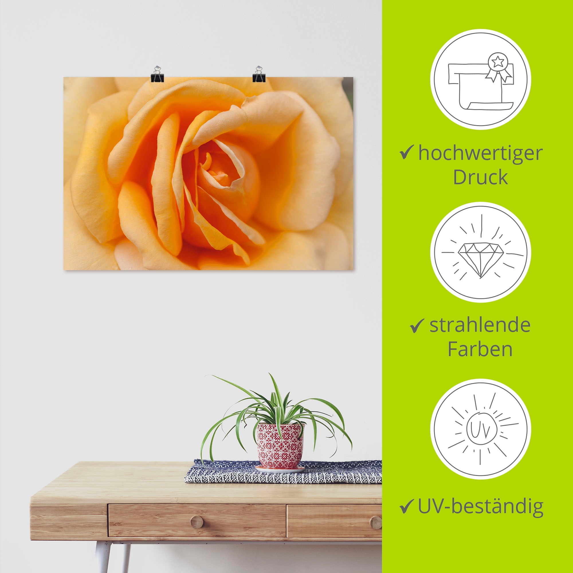 Artland Wandbild »Zarte Rose in Orange«, Blumenbilder, (1 St.), als Leinwandbild, Poster in verschied. Größen