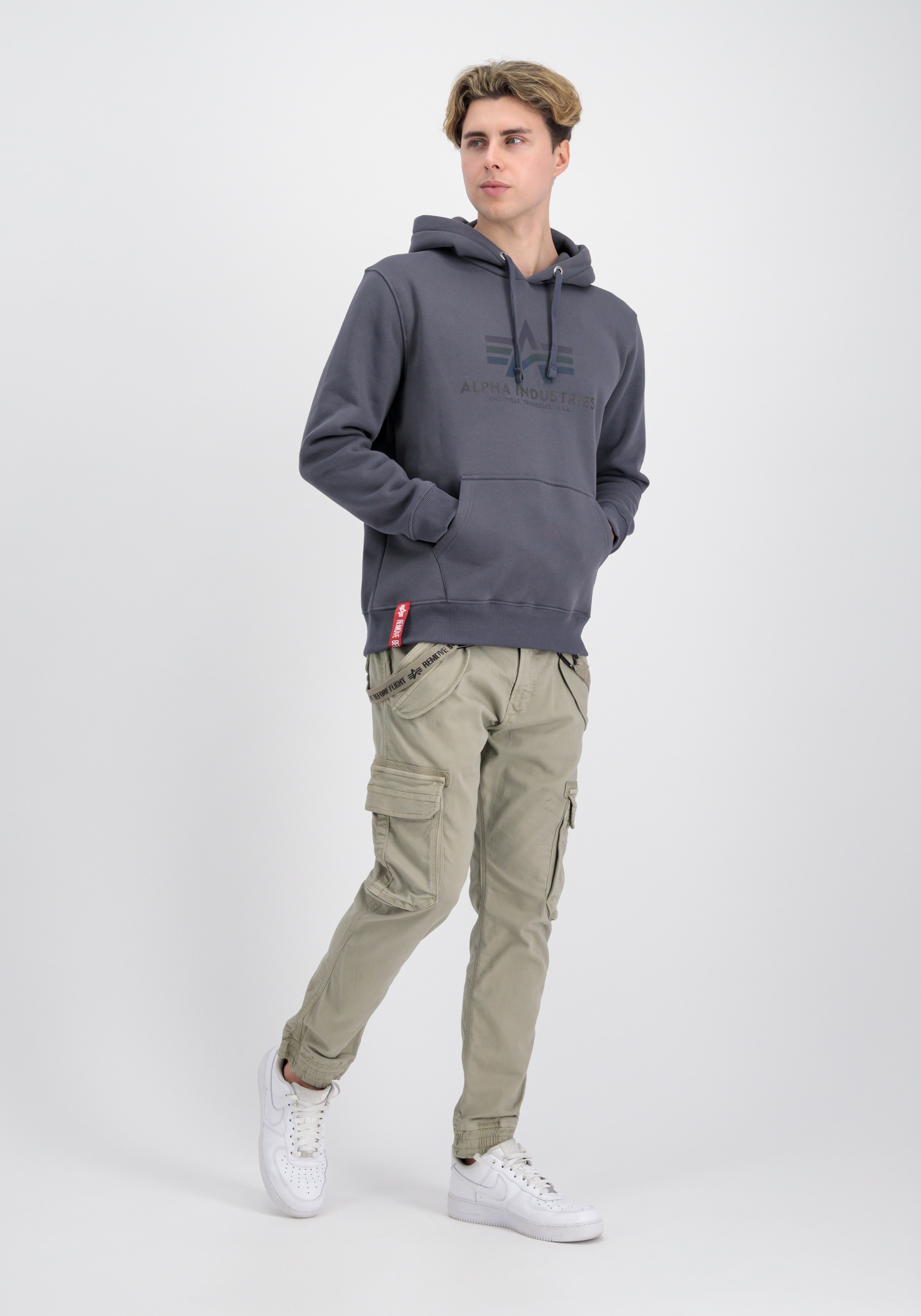 Alpha Industries Hoodie »Basic Hoodie BL Rainbow Refl. Print«