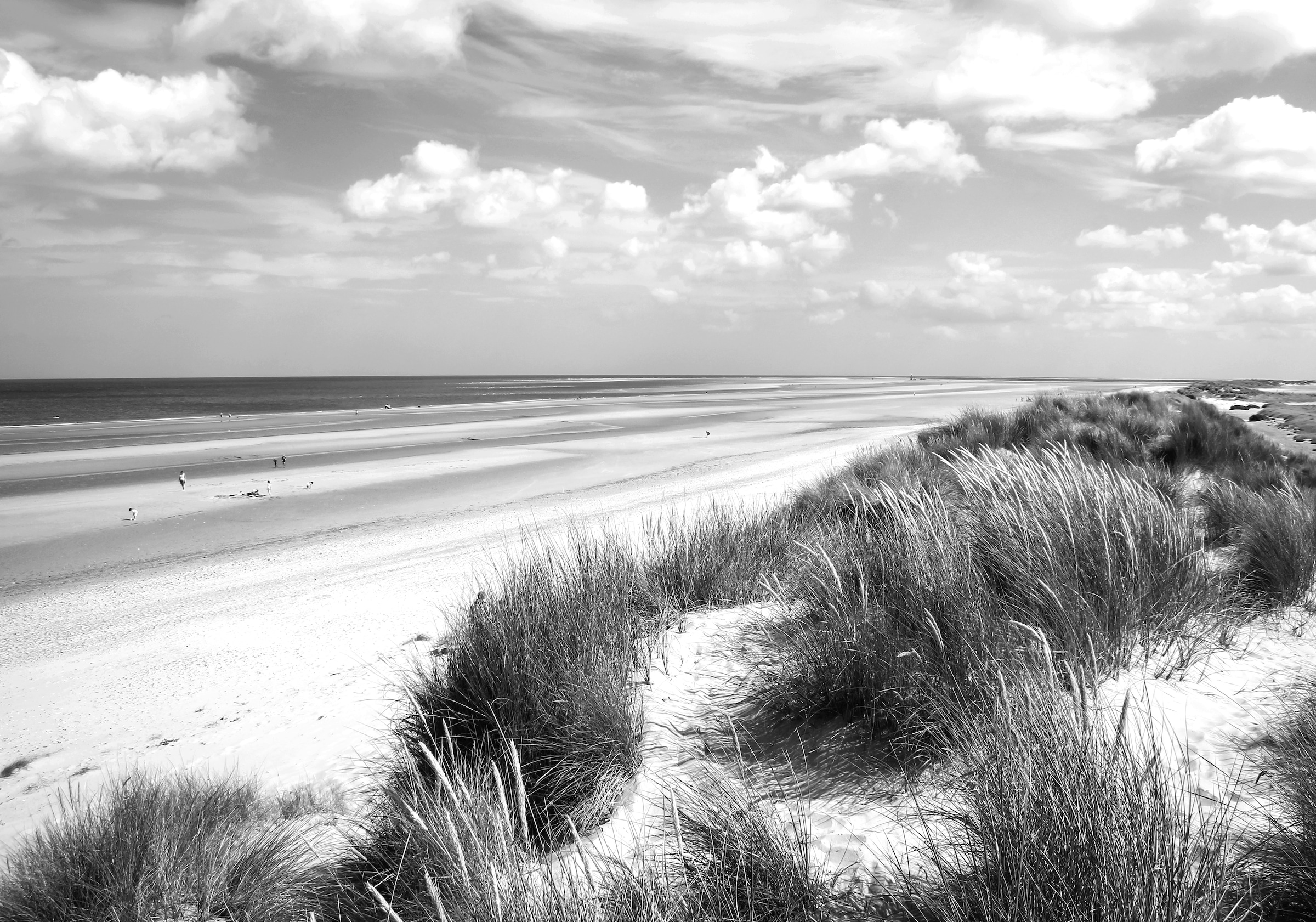 Papermoon Fototapete »Strand Schwarz & Weiß« günstig online kaufen