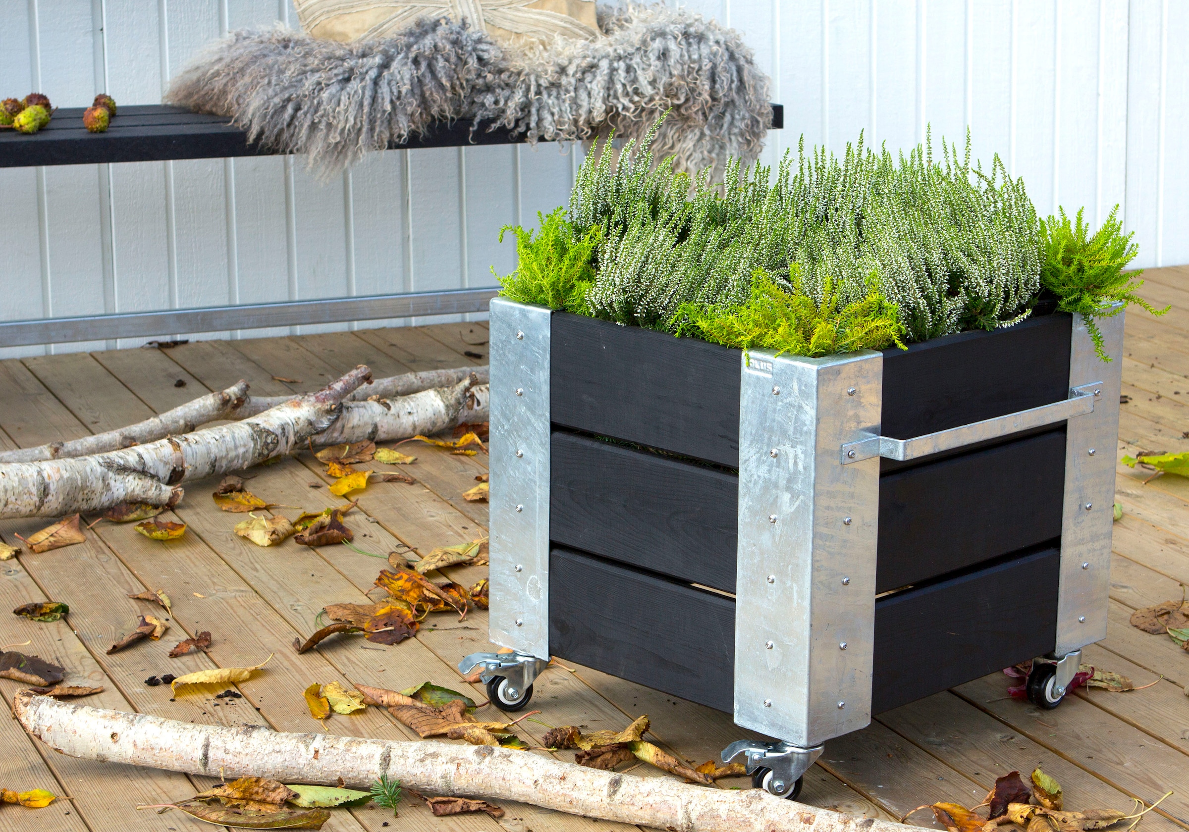 PLUS Blumenkasten »Cubic«, BxTxH: 50x46x45 cm