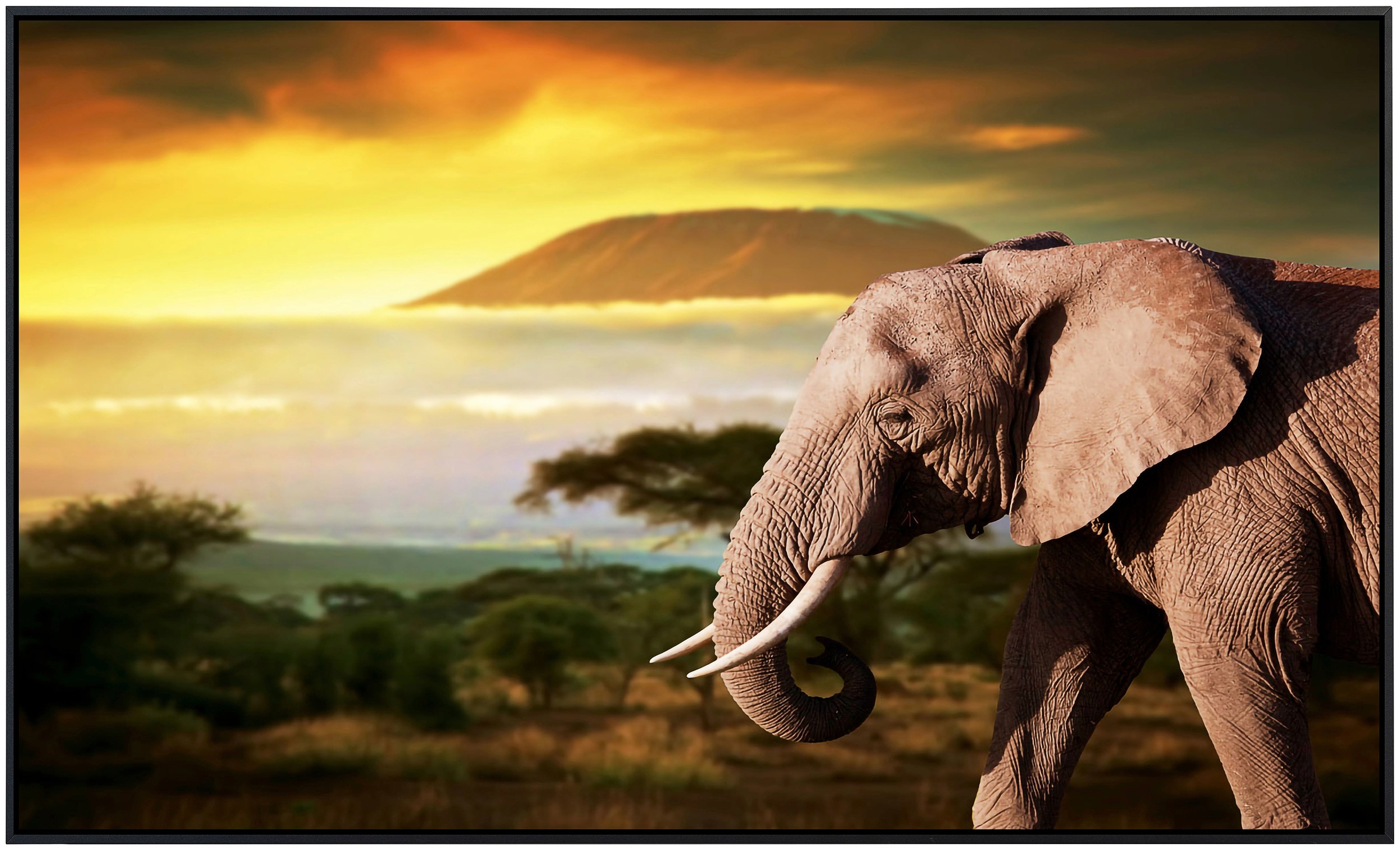 Papermoon Infrarotheizung »Elefant von Kilimanjaro«, sehr angenehme Strahlu günstig online kaufen