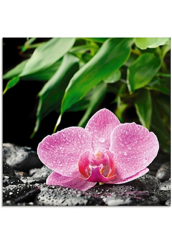 Artland Glasbild »Rosa Orchidee auf schwarzen Zen Steinen«, Blumen, (1 St.) kaufen