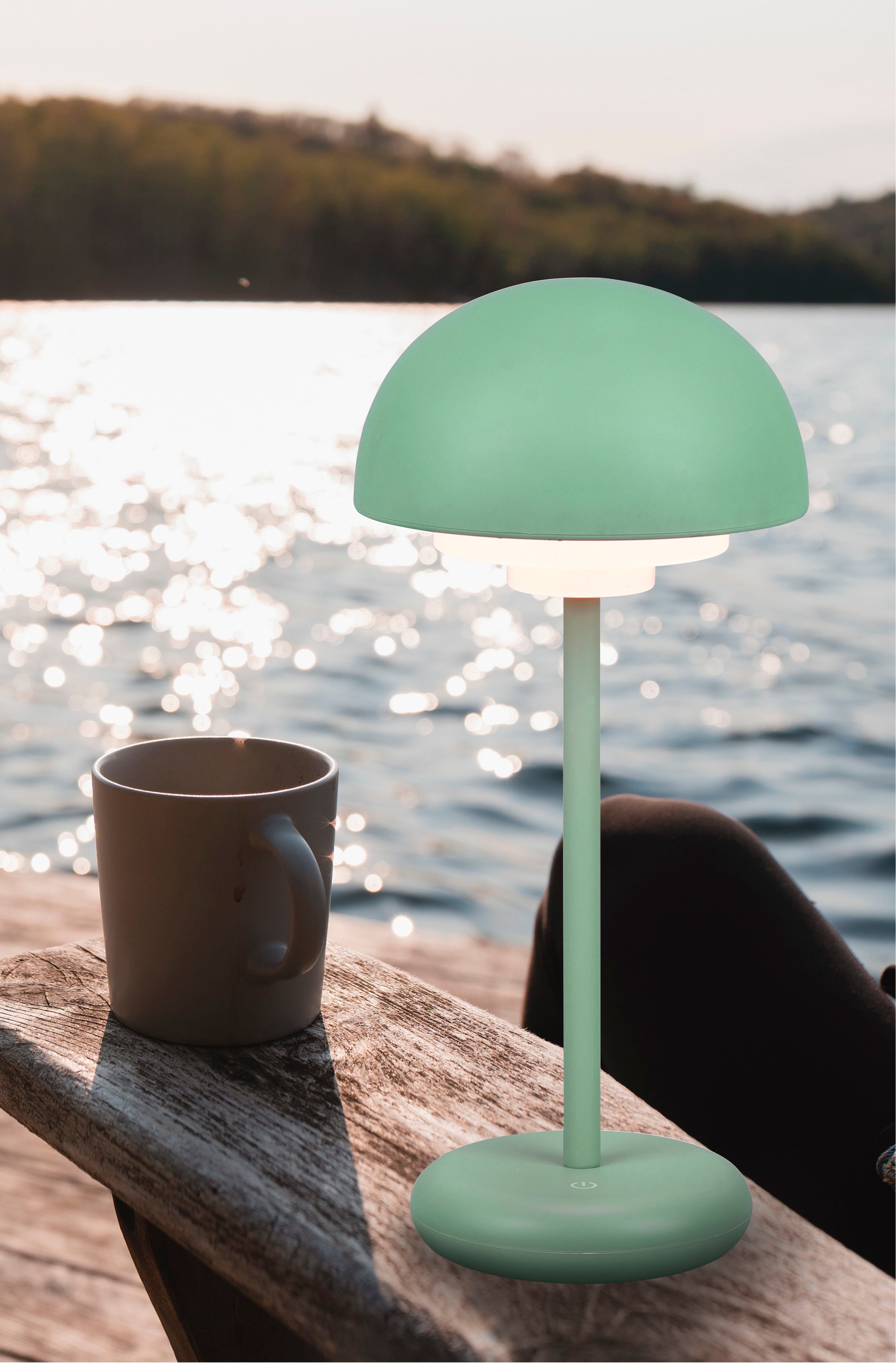 REALITY Leuchten LED Tischleuchte »Elliot«, 1 flammig, Leuchtmittel LED-Boa günstig online kaufen