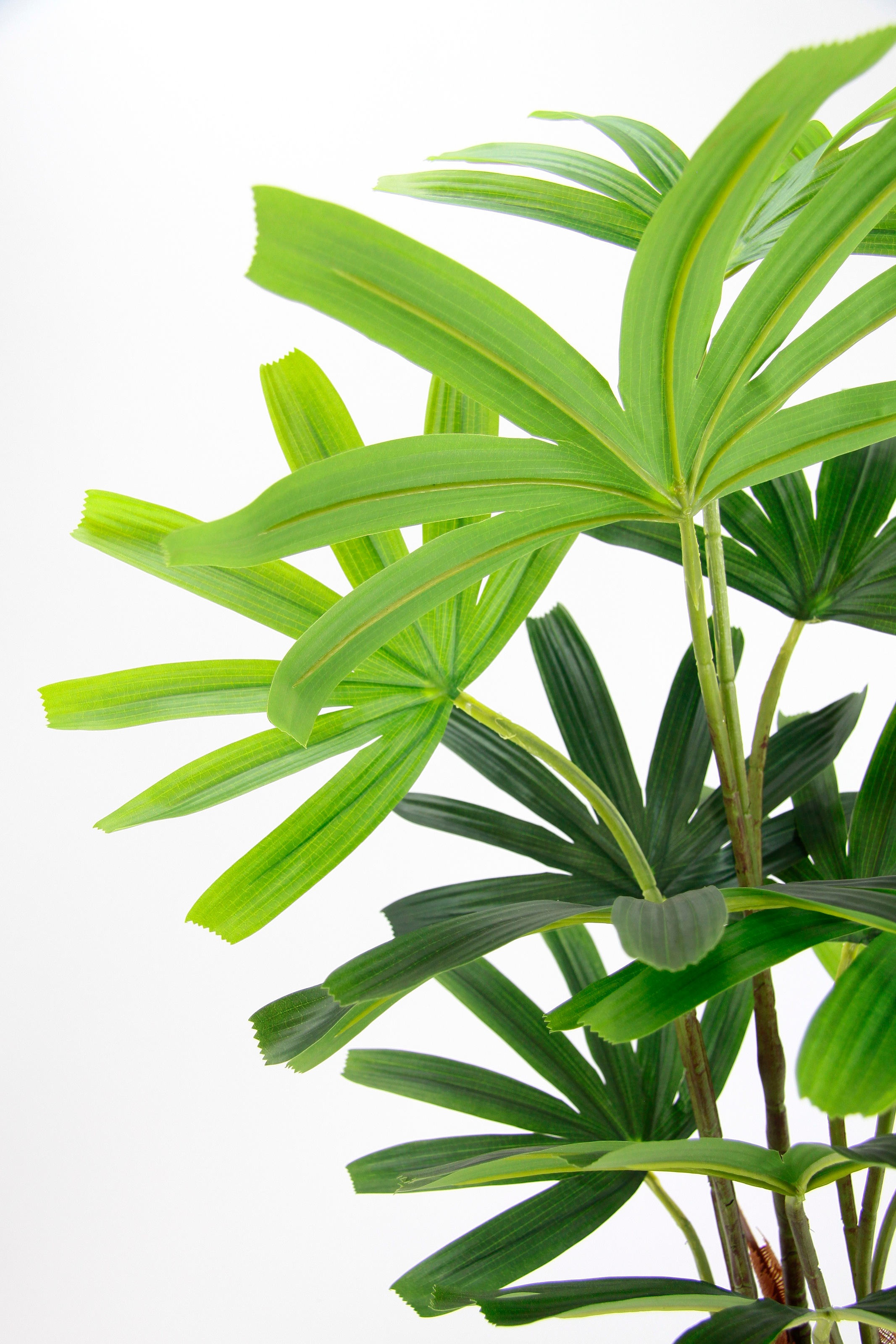 I.GE.A. Kunstbaum »Palme Rhapis im Topf Künstliche Palme Excelsa Steckenpal günstig online kaufen