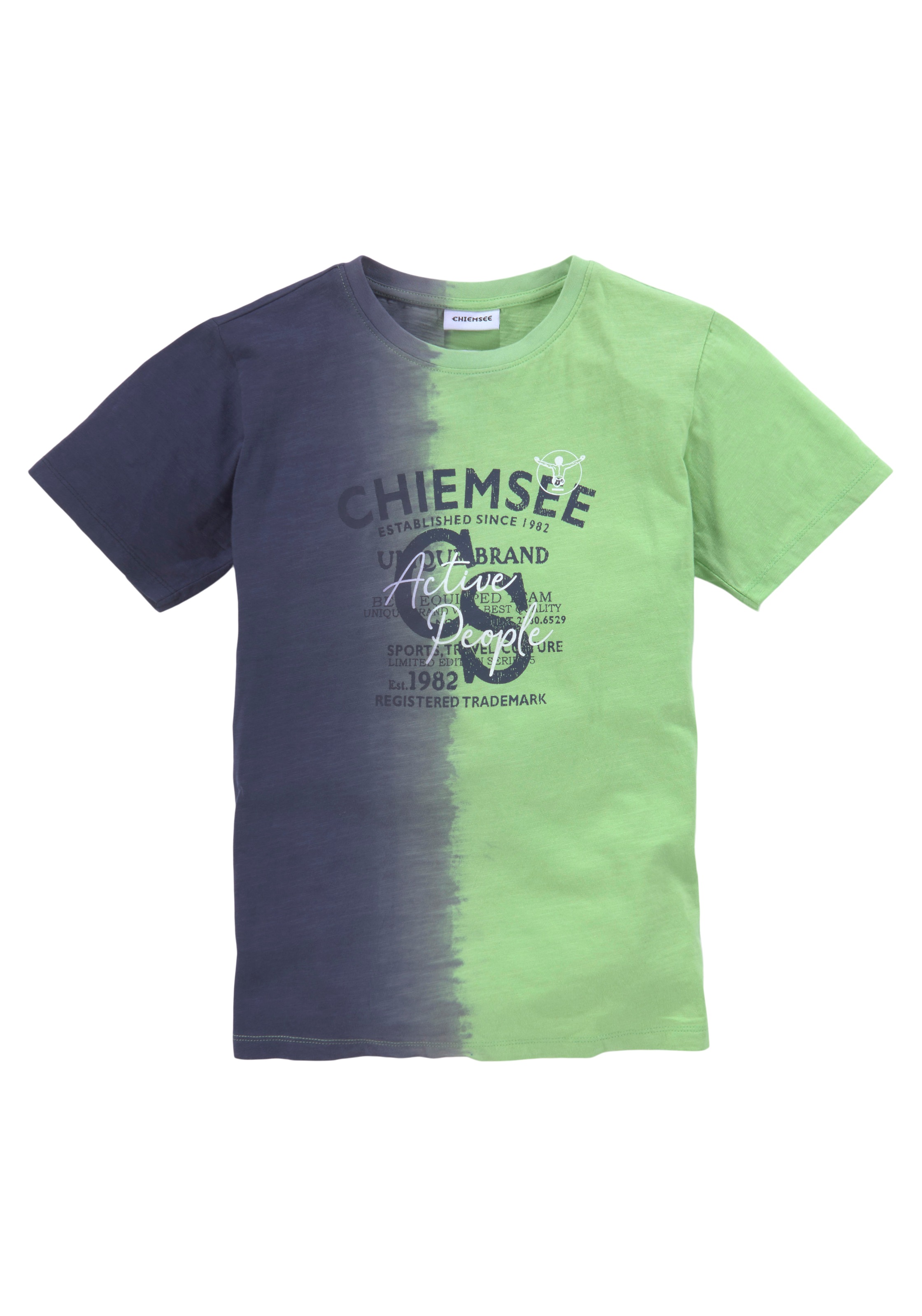 Chiemsee T-Shirt »Farbverlauf«, mit vertikalem Farbverlauf online bestellen