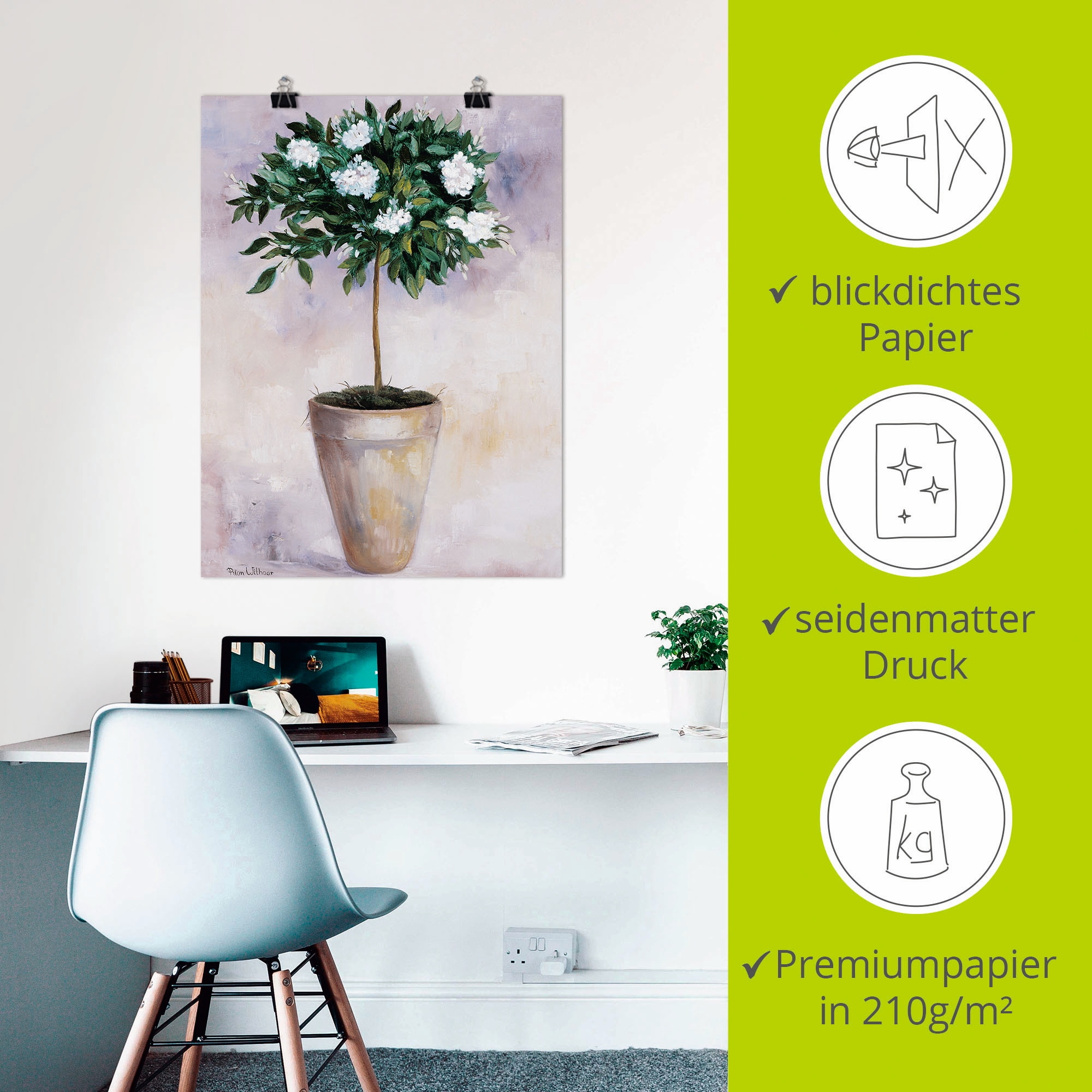 Artland Wandbild »Winterjasmin«, Pflanzen, (1 St.), als Poster, Wandaufkleber in verschied. Größen