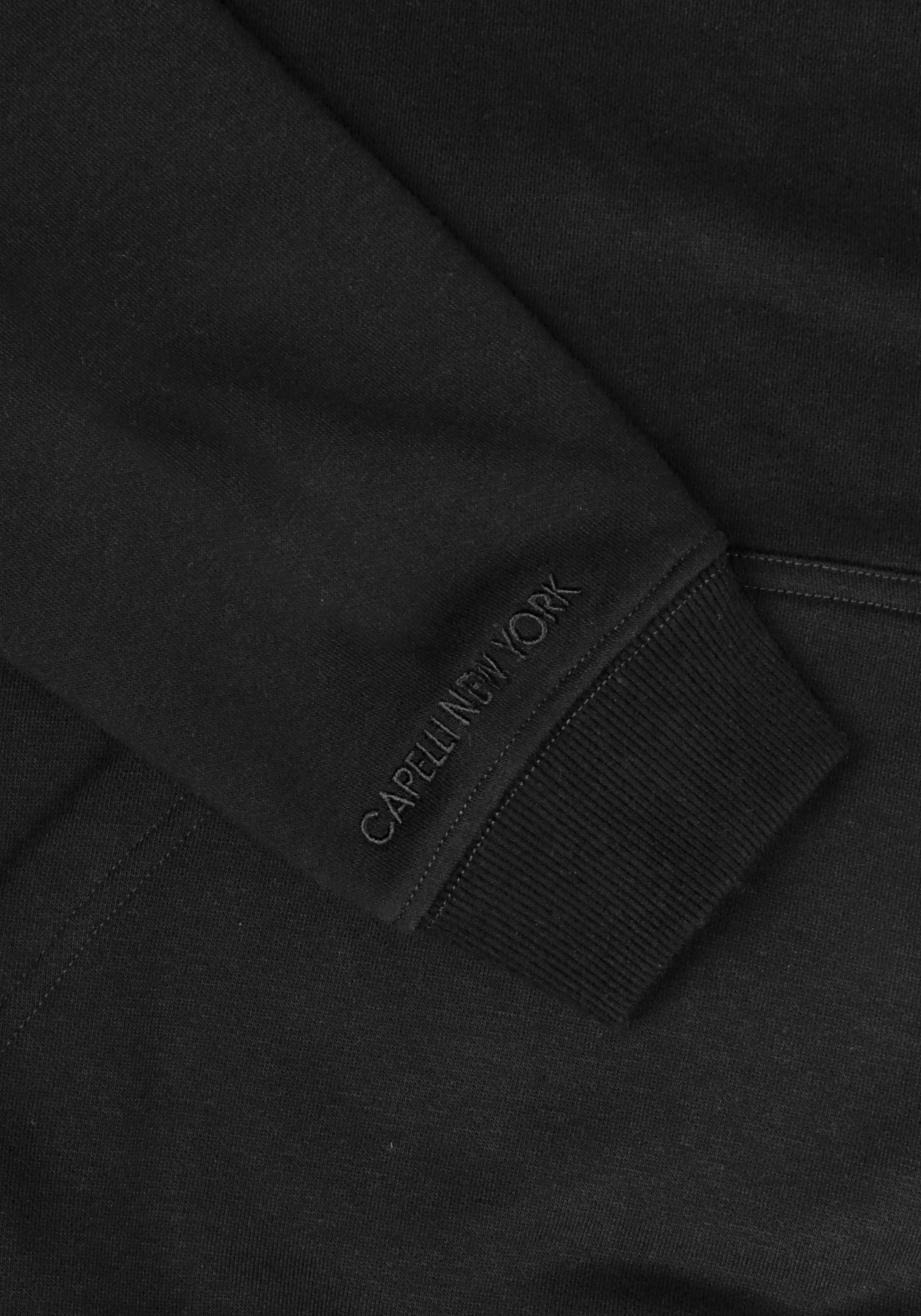 Capelli New York Hoodie, mit Capelli New York Ärmelstickerei