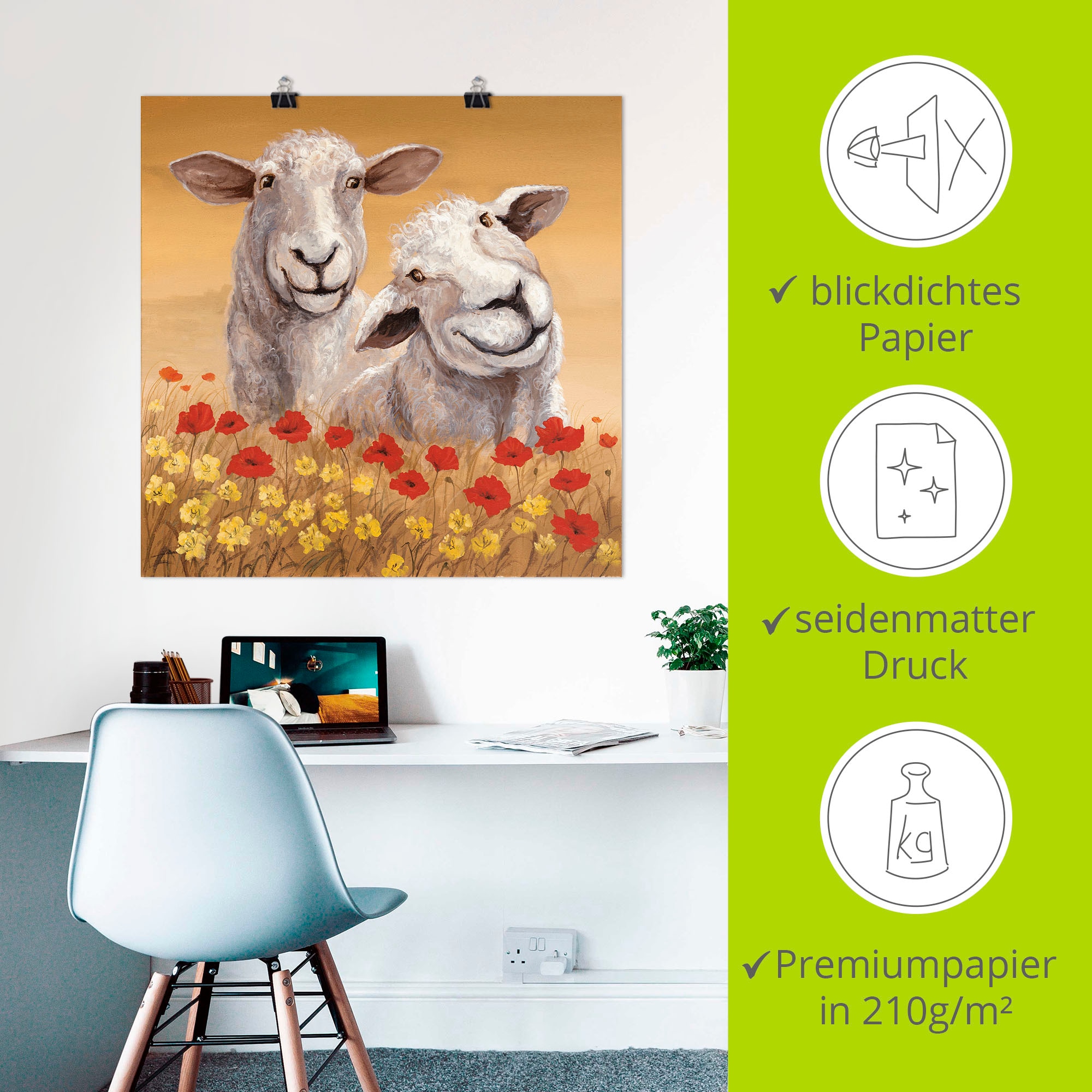 Artland Poster »Schafe« Haustiere 1 Stk. tlg. ohne Rahmen