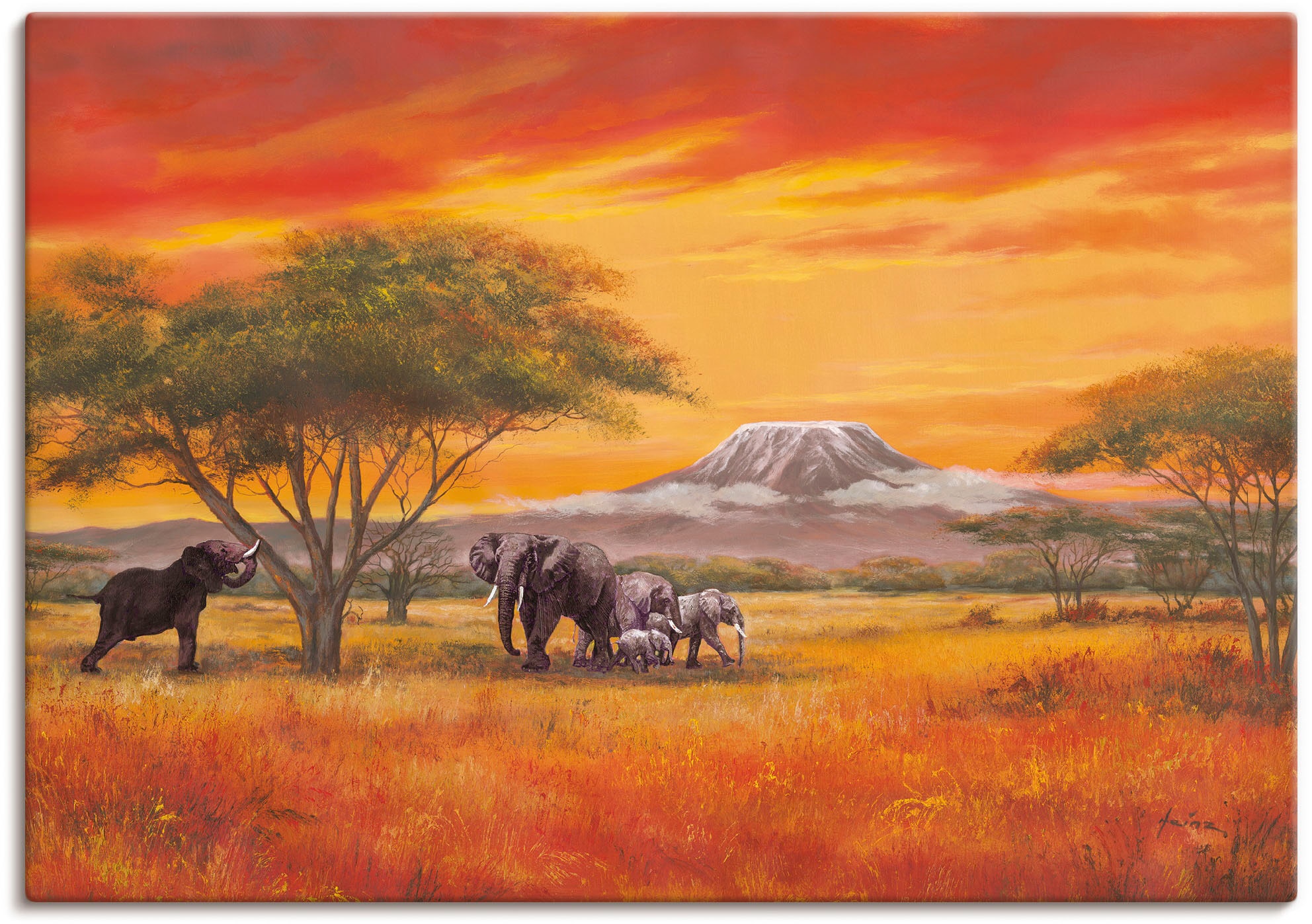 Artland Wandbild »Elefanten« Elefanten Bilder 1 Stk. tlg. als Alubild, Outd günstig online kaufen