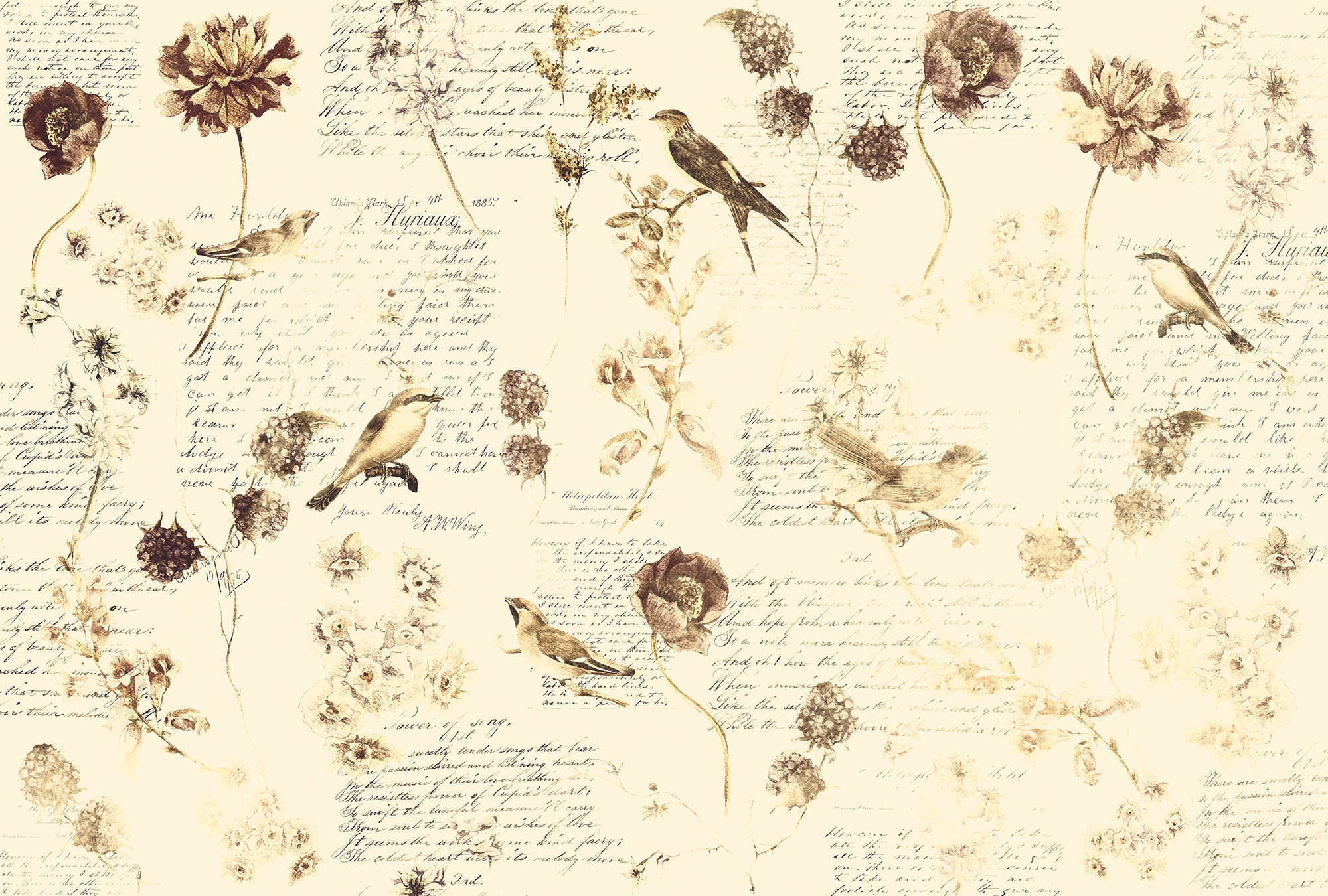 Architects Paper Fototapete »Atelier 47 Bird Poetry 1« floral glatt Vlies, günstig online kaufen