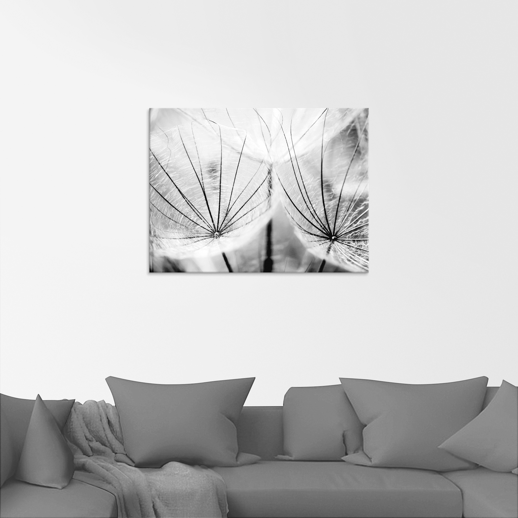 Artland Glasbild »Pusteblume in schwarzweiß«, Blumen, (1 St.), in verschied günstig online kaufen