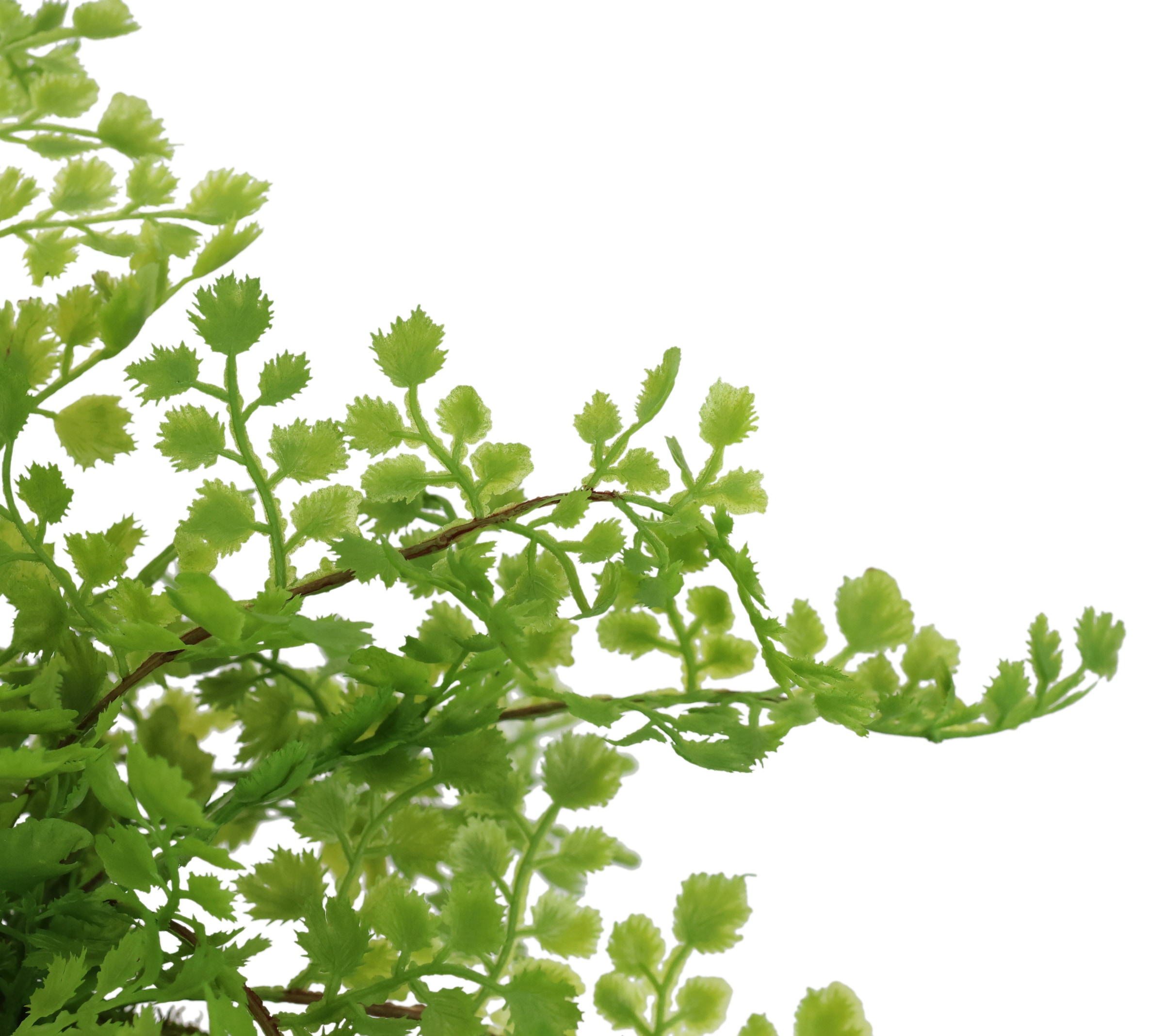 I.GE.A. Kunstpflanze »Farnbusch auf Mooskugel« Künstliche Pflanze Waldfarn