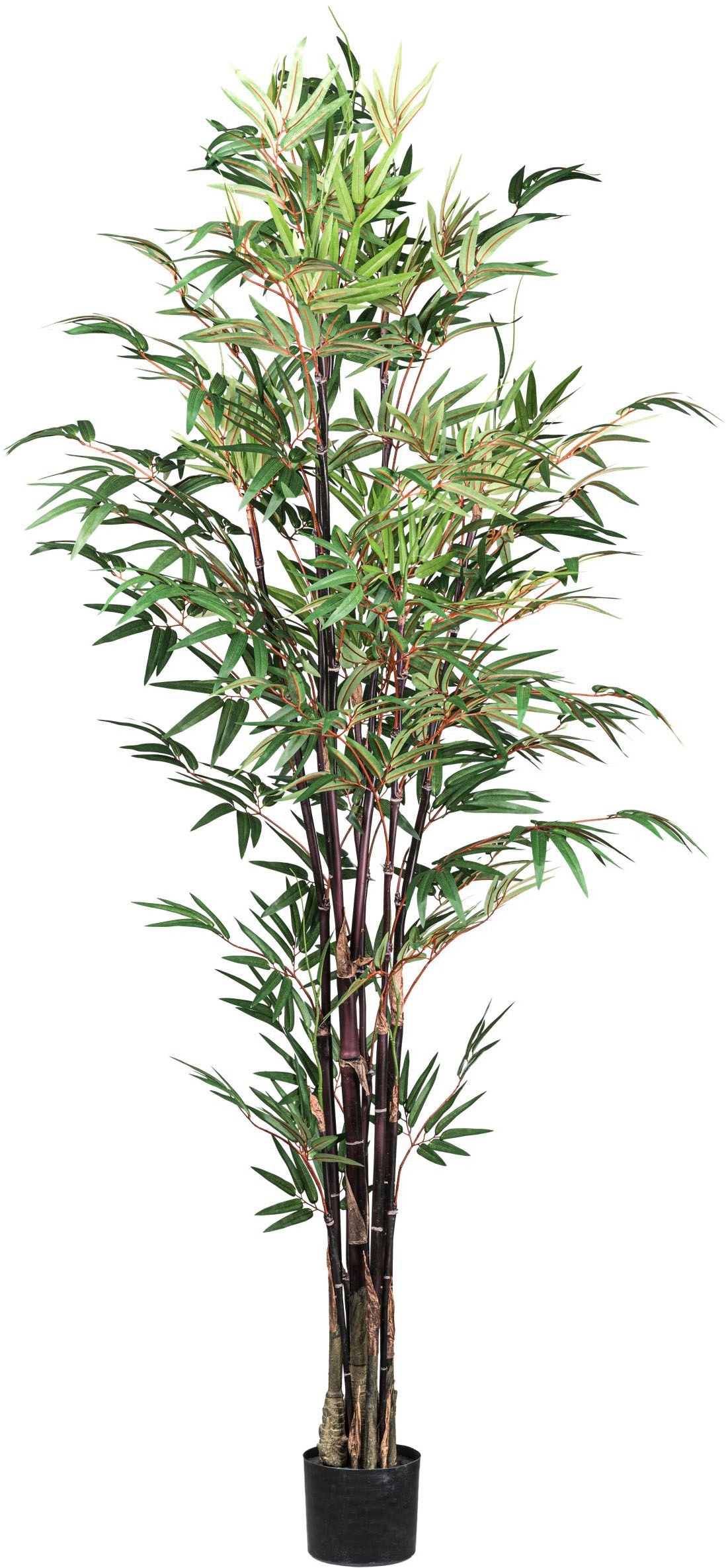 Creativ green Kunstpflanze »Bambus Chinese Wonder« mit 7 Stämmen günstig online kaufen