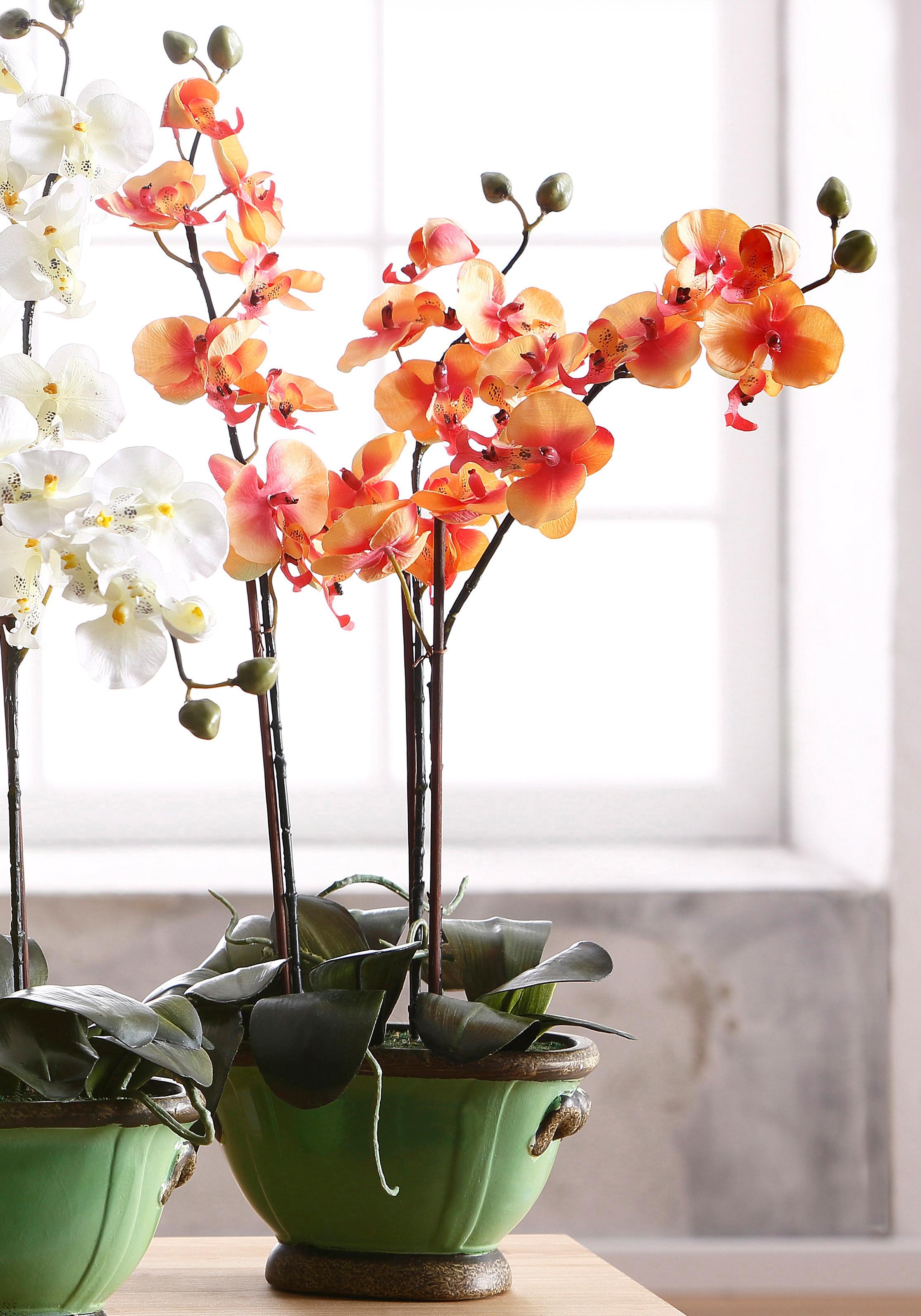 I.GE.A. Kunstpflanze »Orchidee«