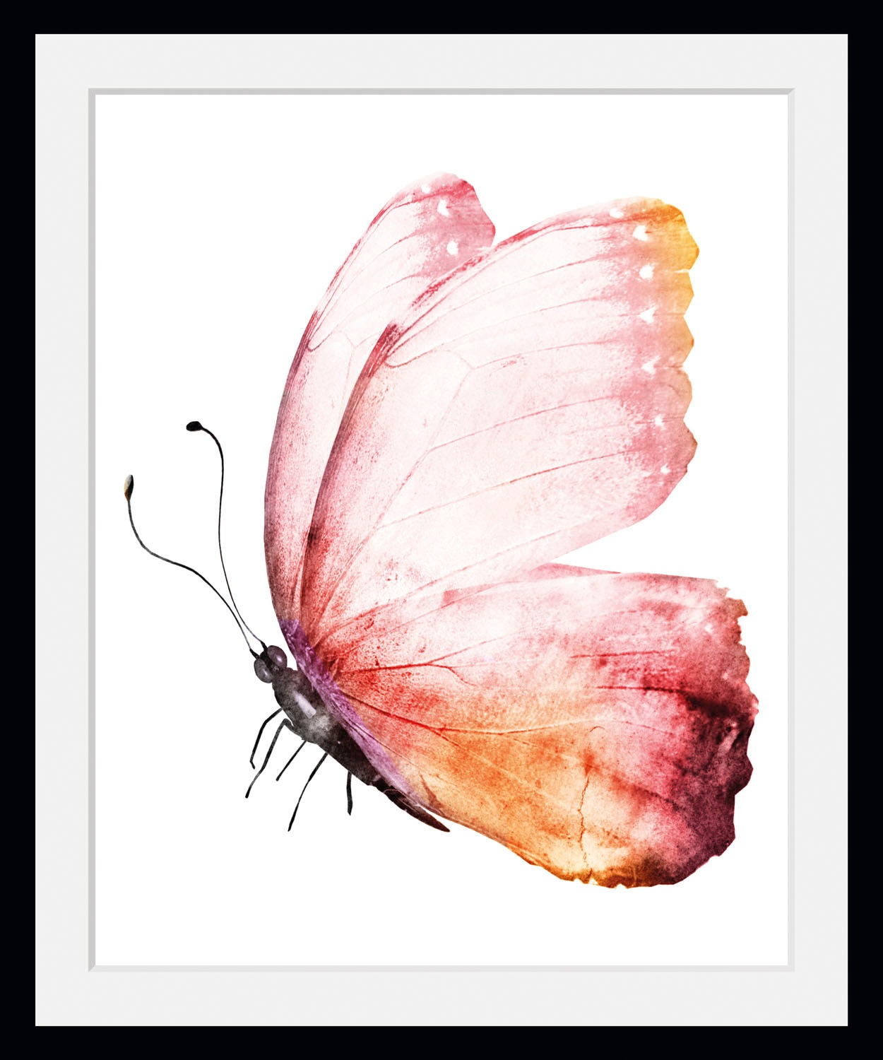 queence Bild »Cooper« Insekten   Kunst   Schmetterlinge 1 Stk. tlg. HD Prem günstig online kaufen