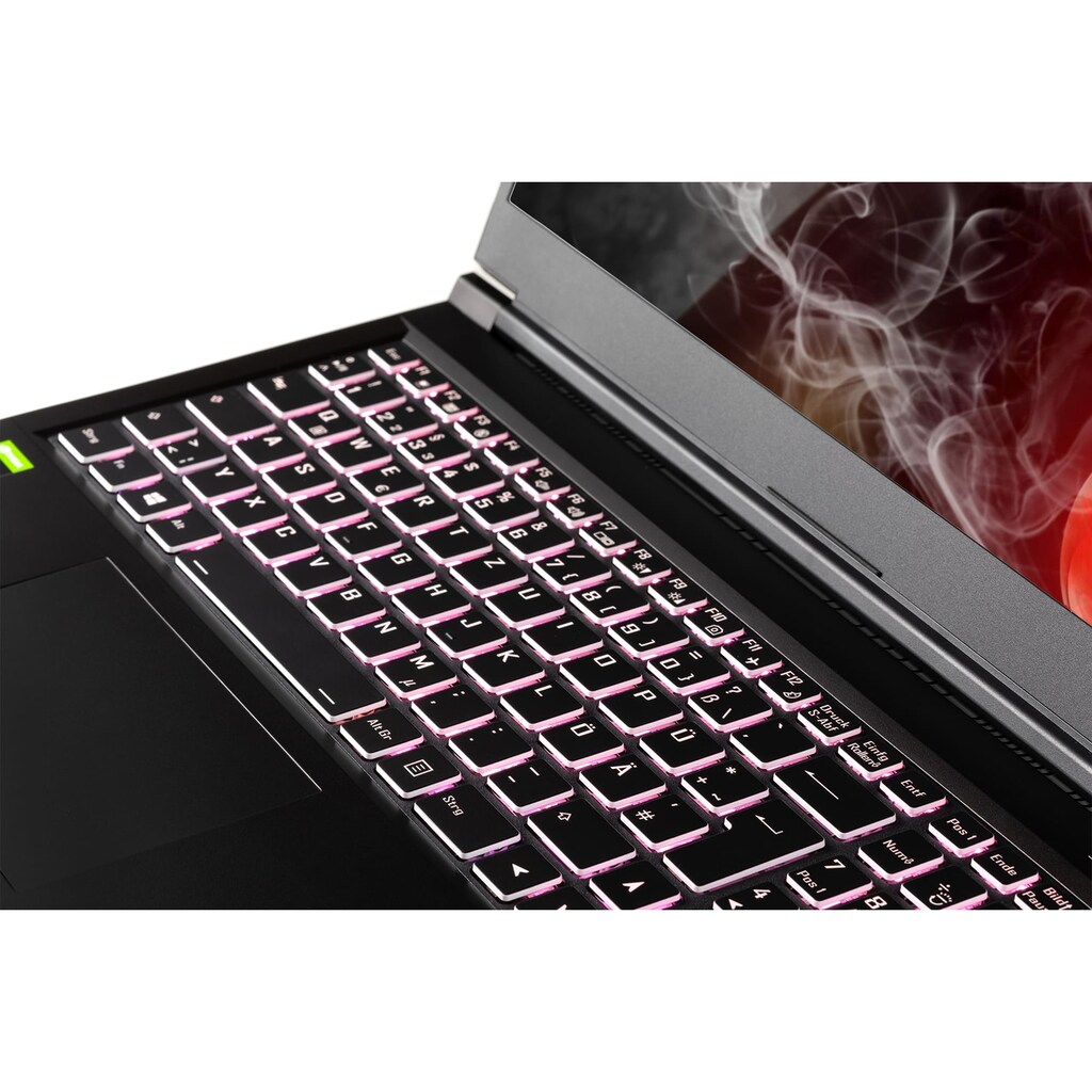 CAPTIVA Gaming-Notebook »Power Starter I61-921«, 39,6 cm, / 15,6 Zoll, Intel, Core i5, GeForce MX 350, 256 GB SSD