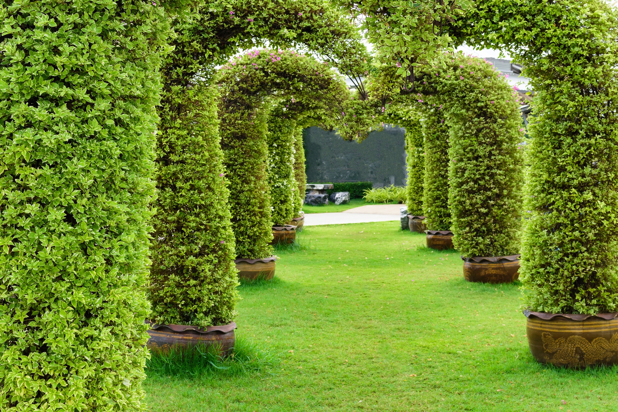 Papermoon Fototapete »GARTEN-ALLEE BLUMEN BÄUME PFLANZEN STEINE WALD PERGOL günstig online kaufen