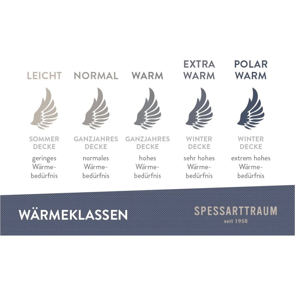 SPESSARTTRAUM Daunenbettdecke »Exklusiv, Bettdecken für Sommer und Winter, Decke«, polarwarm, Füllung 100% Daunen, Bezug Baumwolle, (1 St.)