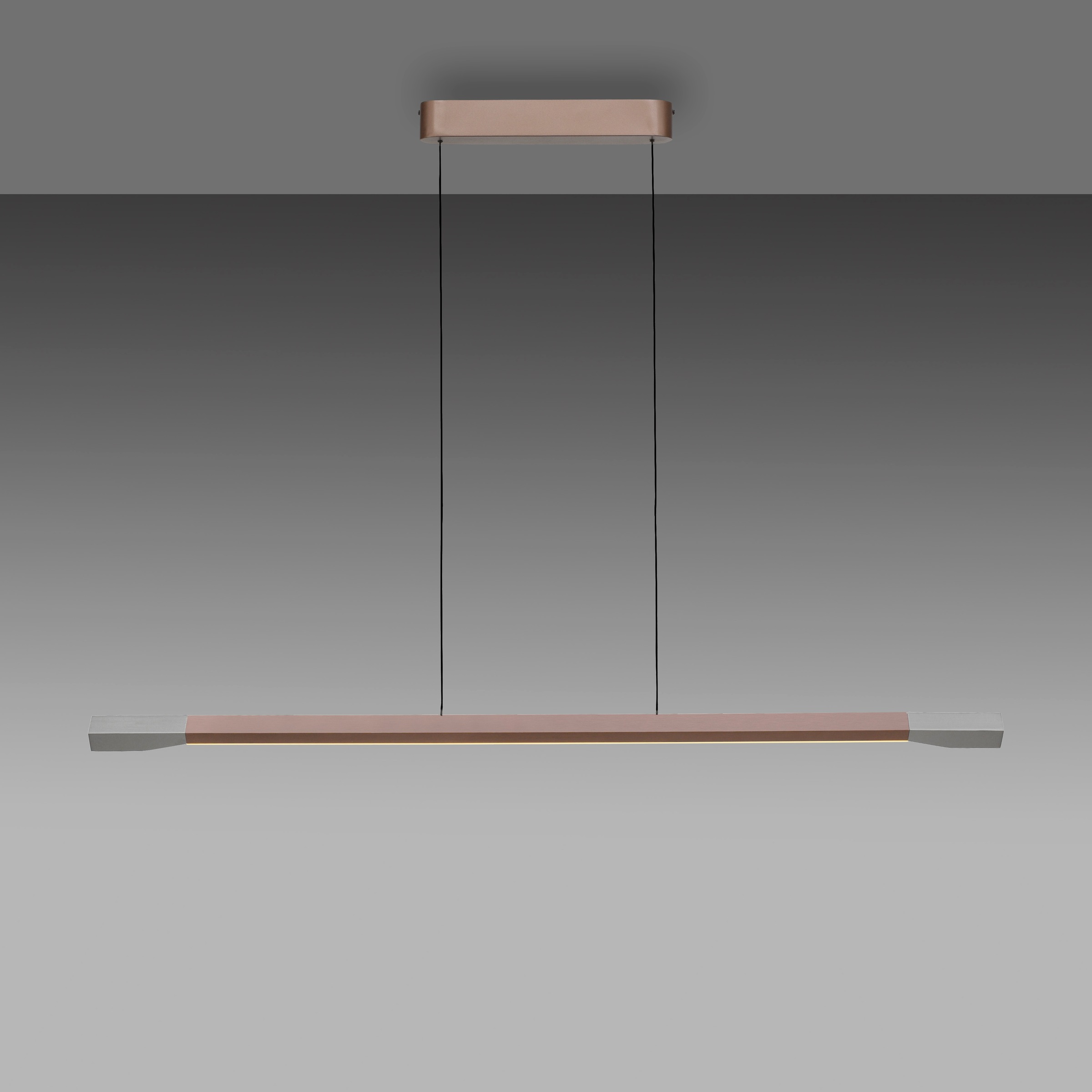Paul Neuhaus Pendelleuchte »HOOP«, 1 flammig, Leuchtmittel LED-Board | LED fest integriert, LED, dimmbar, Simply Dim, Memory, nach Trennung vom Netz, Comfort Lift