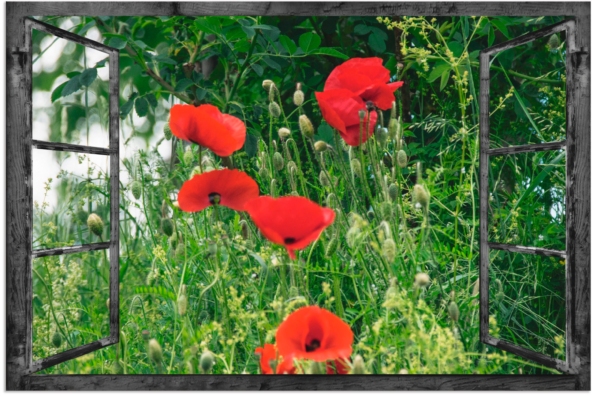 Artland Wandbild »Fensterblick - Klatschmohn«, Fensterblick, (1 St.), als A günstig online kaufen