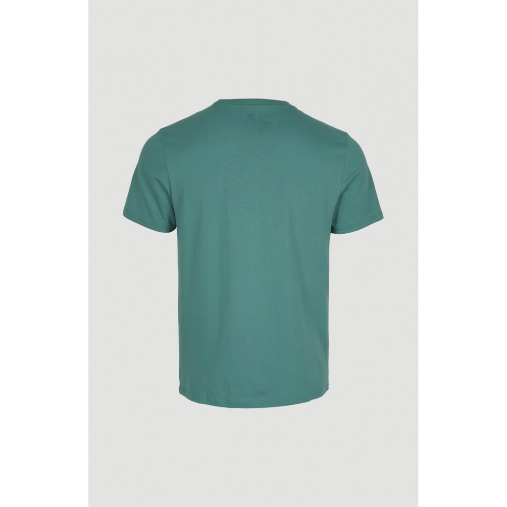 O'Neill T-Shirt »SWELL T-SHIRT«