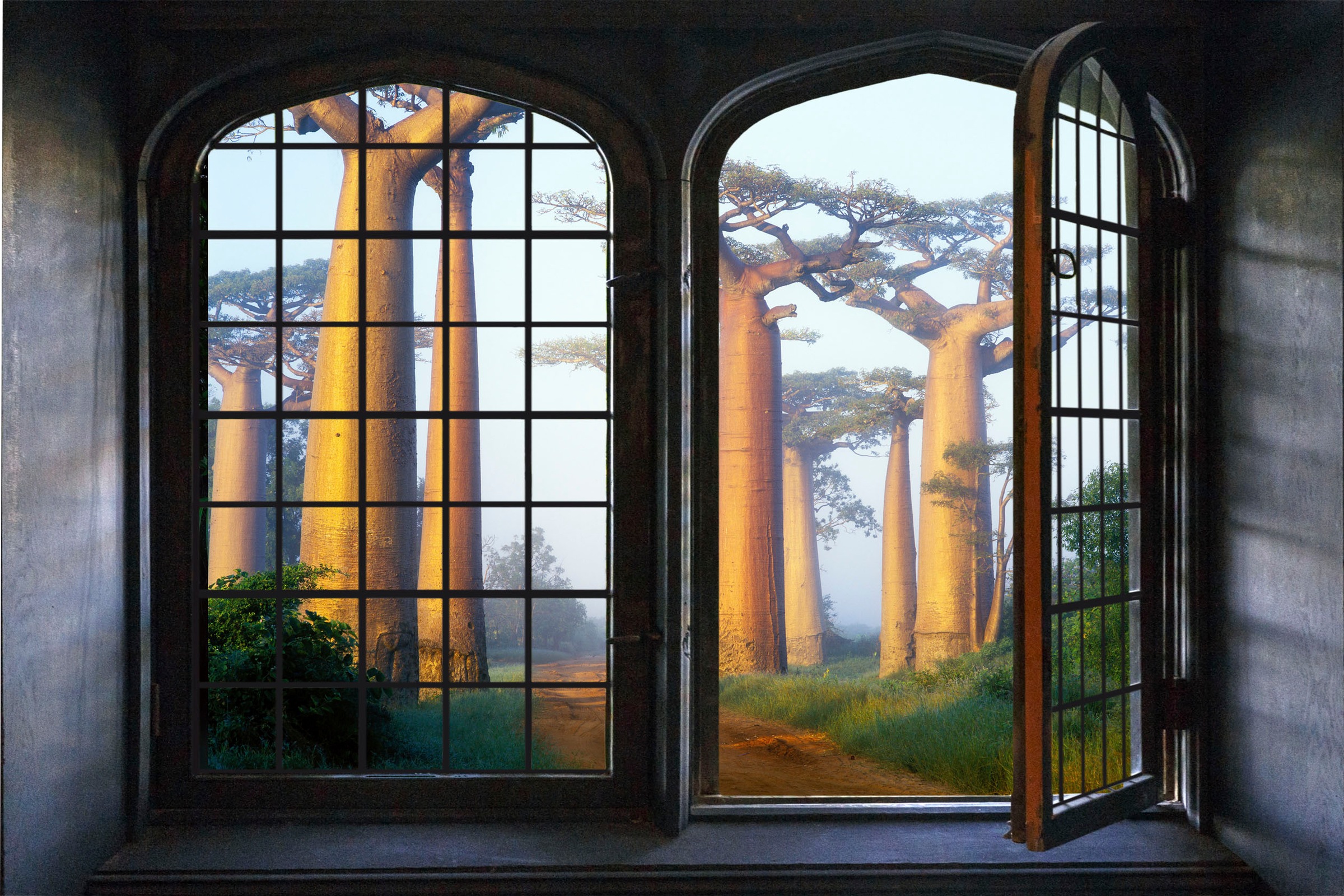 queence Wandsticker »Wald«, Wandsticker, Wandbild, selbstklebend, 3D, Fenster