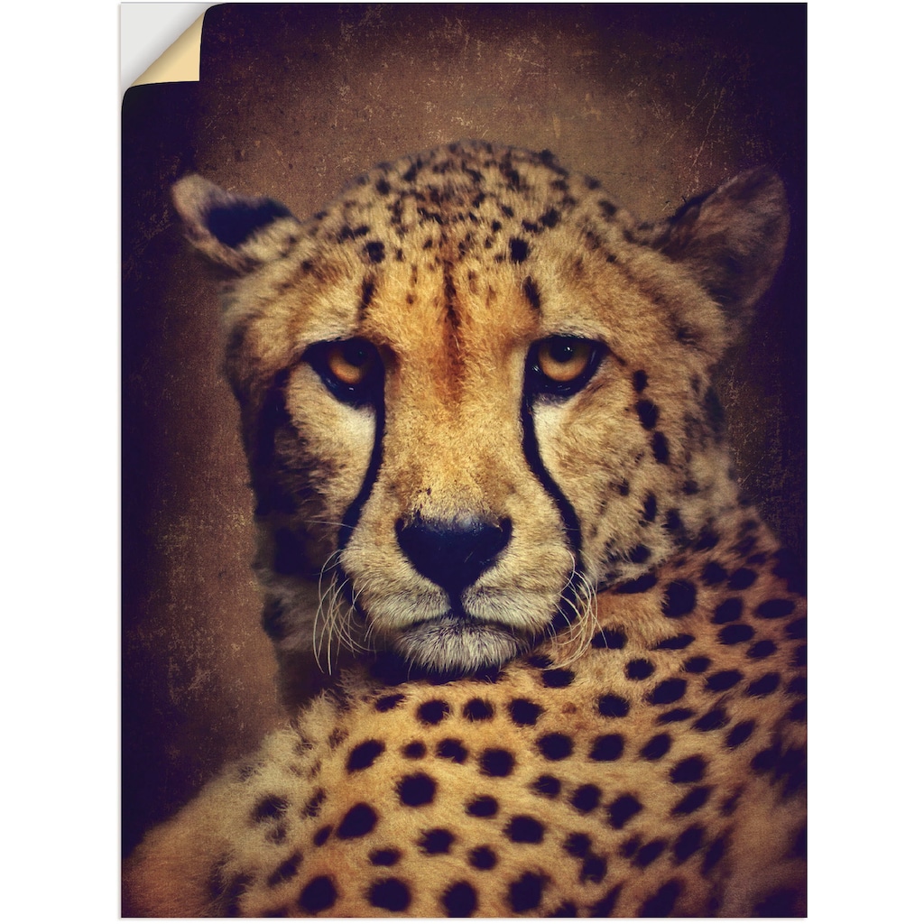 Artland Wandbild »Gepard«, Wildtiere, (1 St.)
