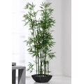 Schneider Kunstpflanze »Bambus«