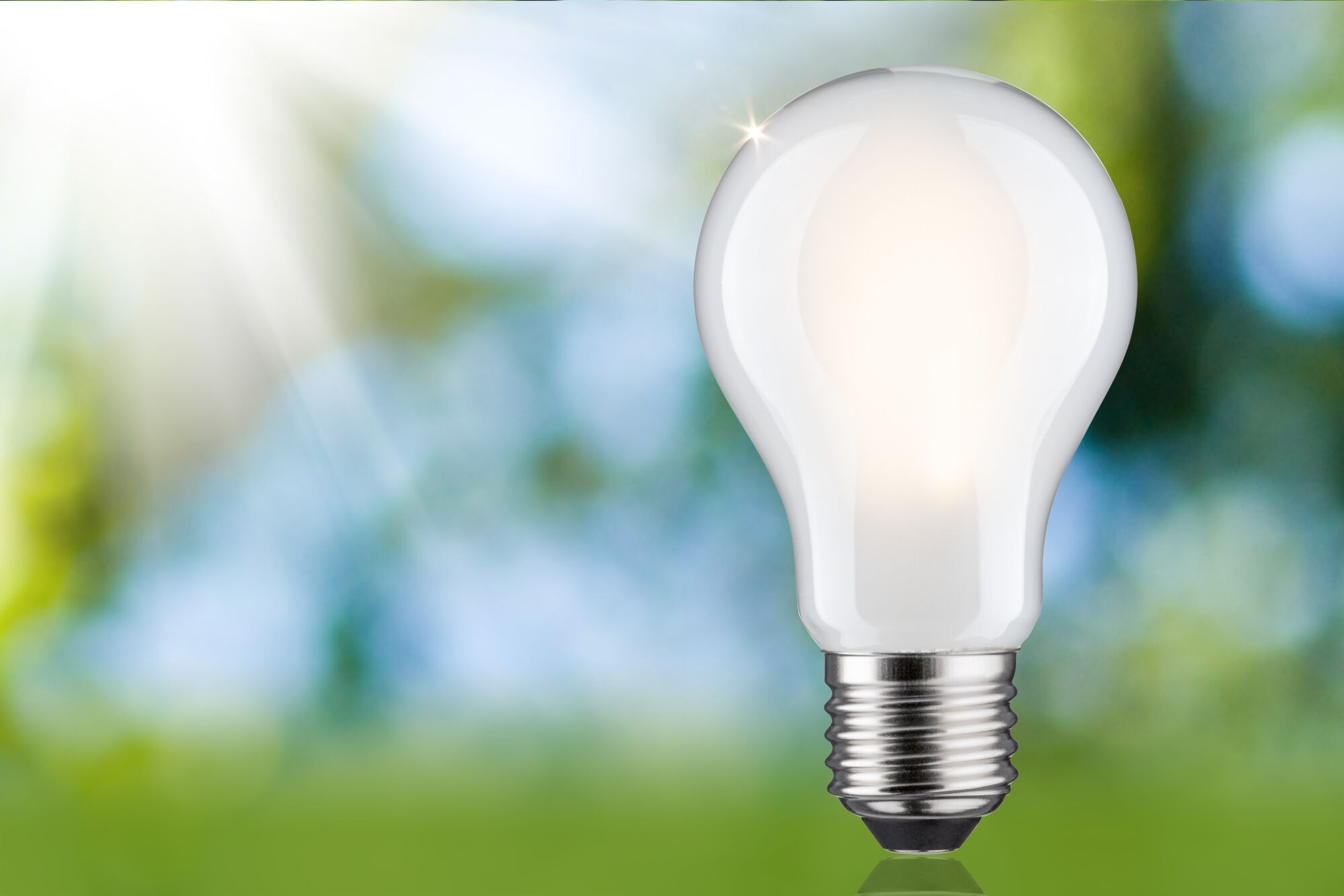 Paulmann LED-Leuchtmittel »Eco-Line Filament 230V LED Birne E27 806lm 4,3W günstig online kaufen