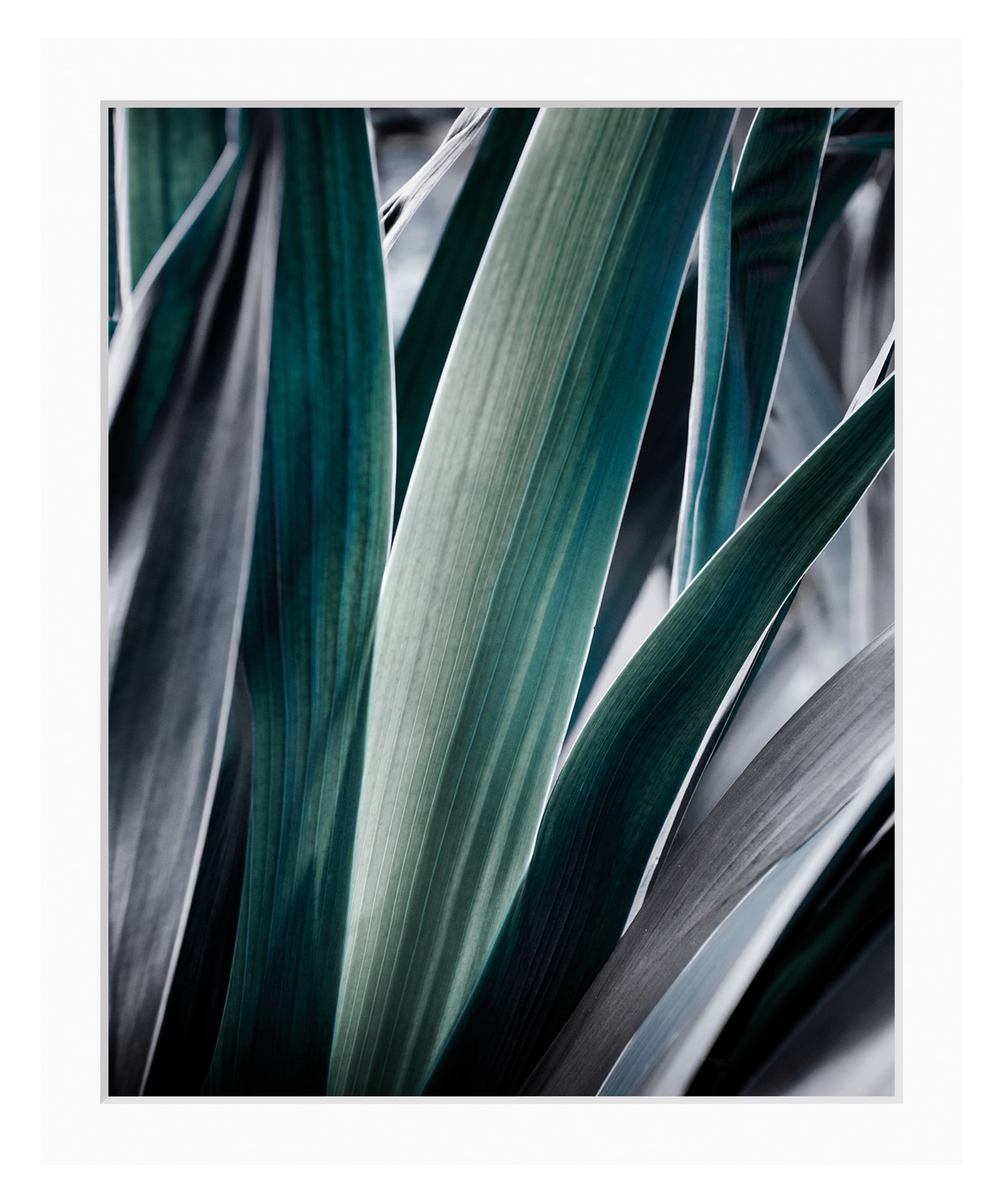 queence Bild »Castiel« Blätter | Kunst | Pflanzen | Pflanzenbilder gerahmt, Blätter