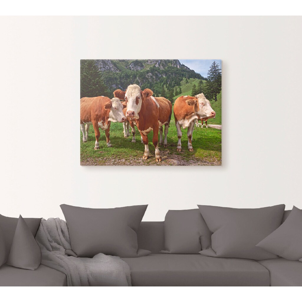 Artland Leinwandbild »Bayerische Kühe«, Haustiere, (1 St.), auf Keilrahmen gespannt