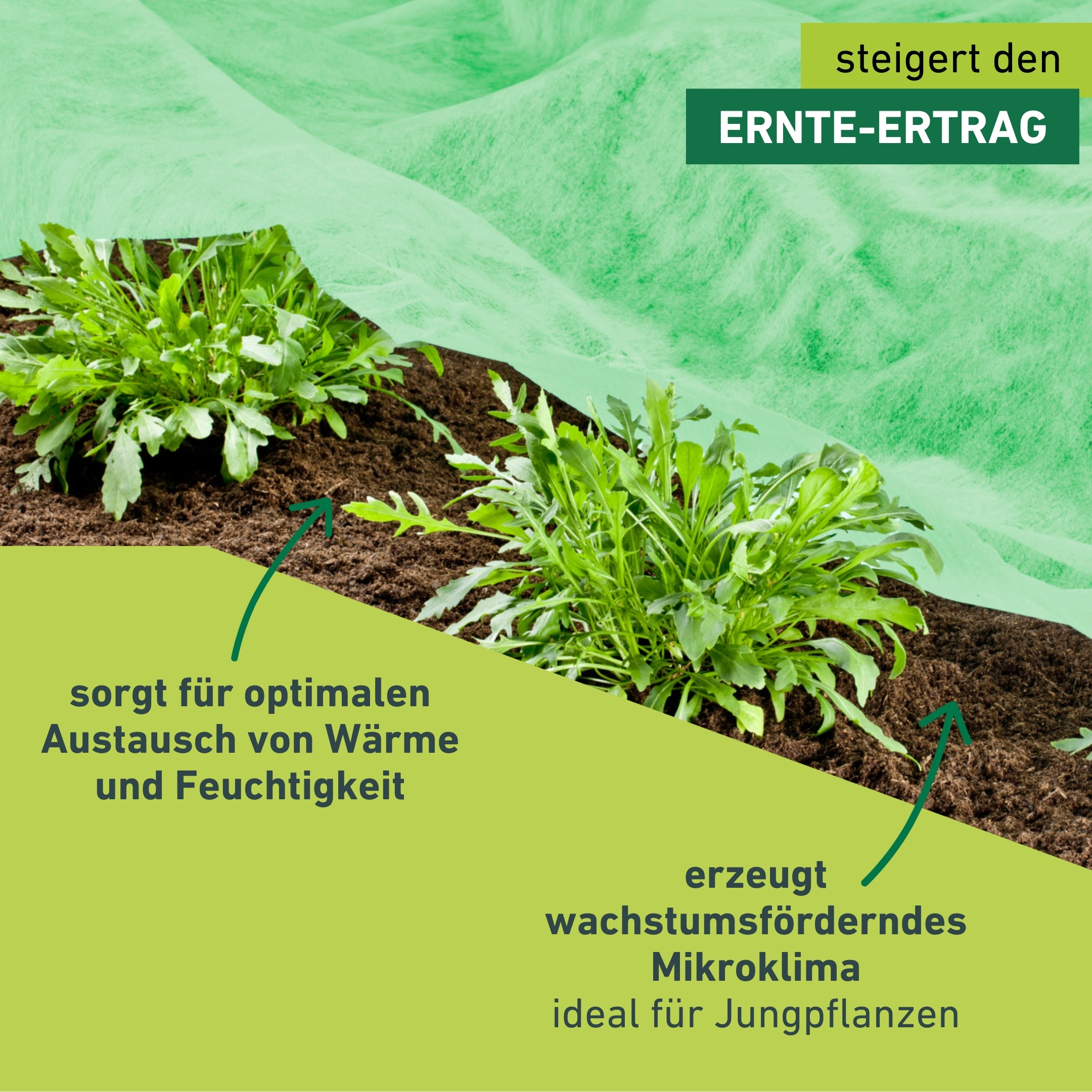 Windhager Gartenvlies »Supergrow für optimales Wachstum von Jungpflanzen im Frühbeet« 1 Stk. tlg. Garten Abdeckvlies erhältlich in 10 x 1,5 m oder 10 x 2 m, 20 g/m²