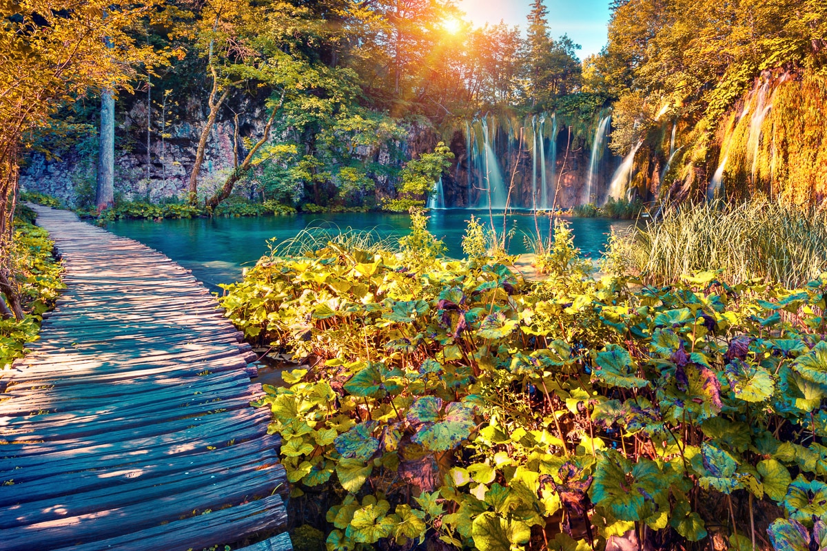 Papermoon Fototapete »Kirschblüten mit Fluss« günstig online kaufen