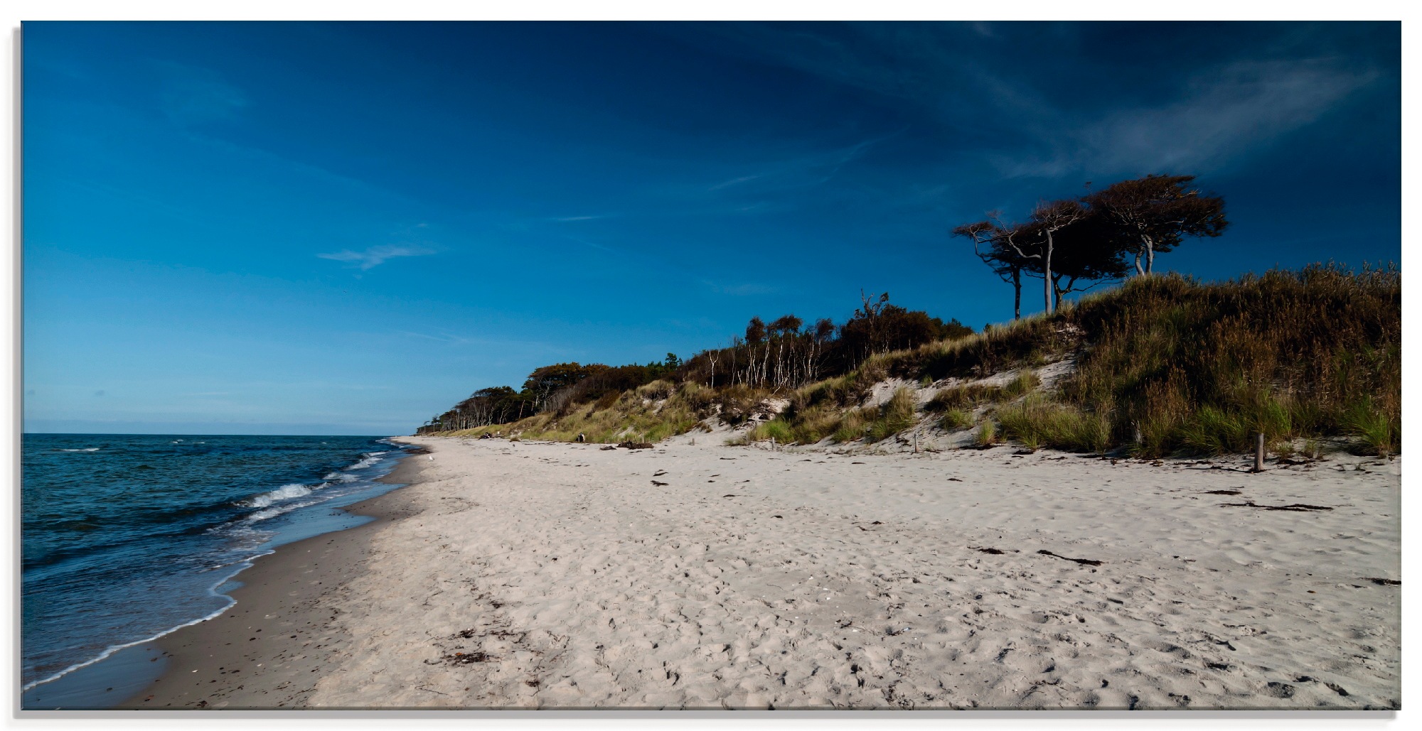 Artland Glasbild »Am Weststrand- Ostsee - Darss«, Strand, (1 St.), in verschiedenen Größen