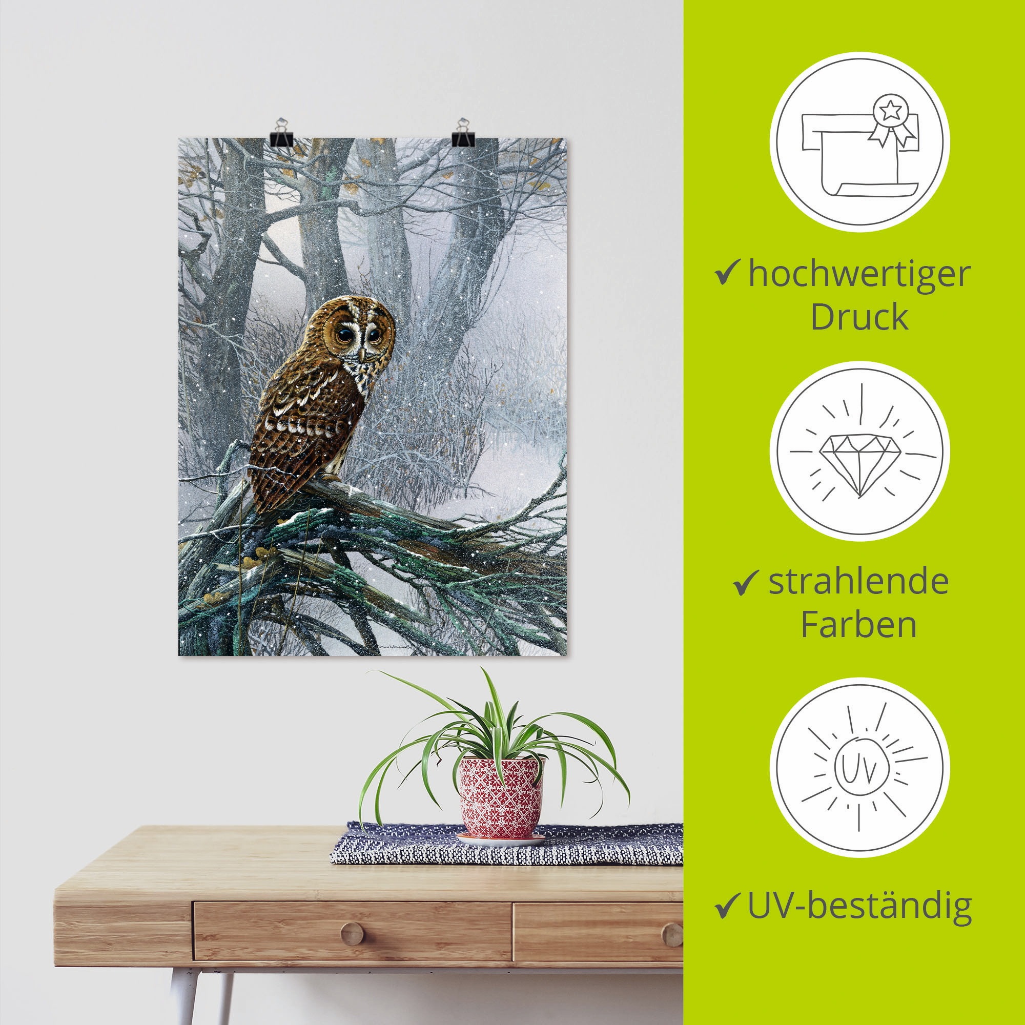 Artland Wandbild »Eule in verschneitem Wald«, Vögel, (1 St.), als Leinwandbild, Poster in verschied. Größen