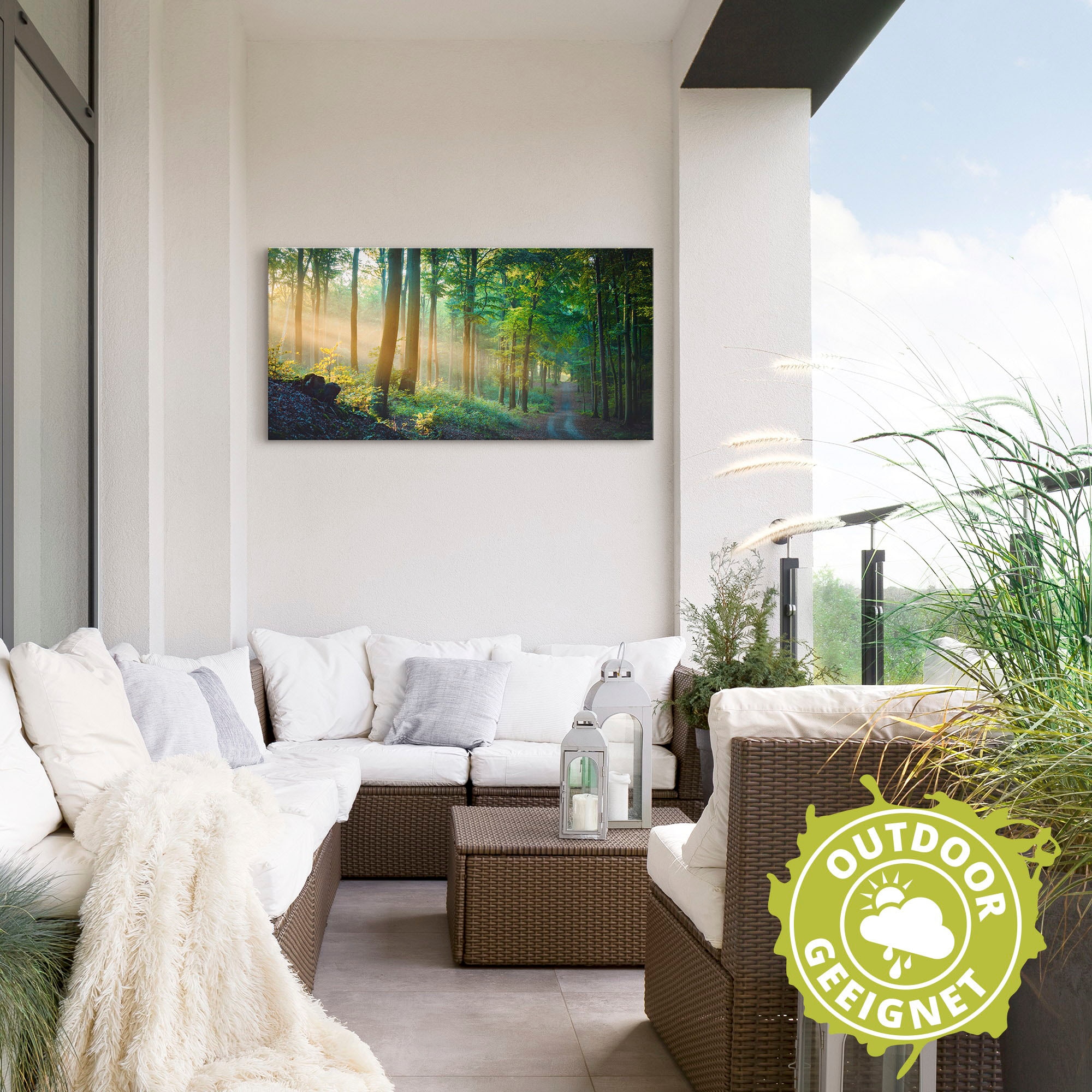 Artland Alu-Dibond-Druck »Herbstmorgen im Wald« Waldbilder 1 Stk. tlg. als Alubild, Outdoorbild, Leinwandbild, Poster in verschied. Größen