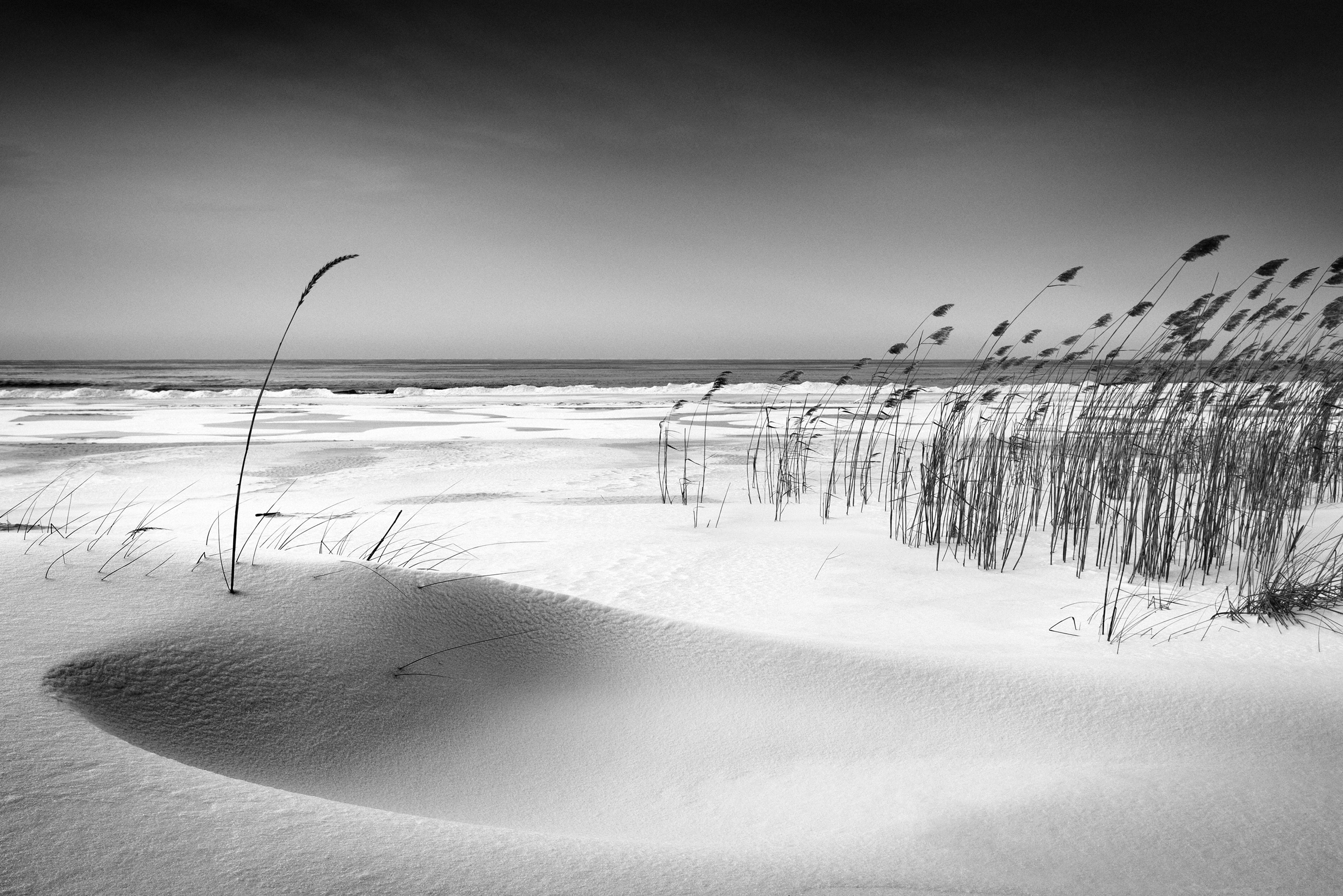 Papermoon Fototapete »Photo-Art REINIS CÄªRULIS, ORCHESTER« günstig online kaufen